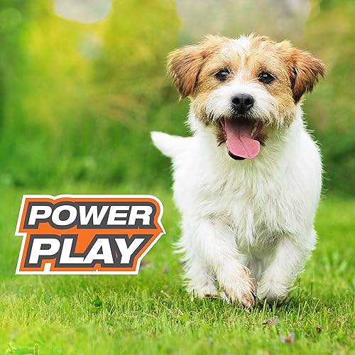 Miniatura 5 de Nylabone Power Play - Pelota de tenis para perros Gripz (3 unidades)