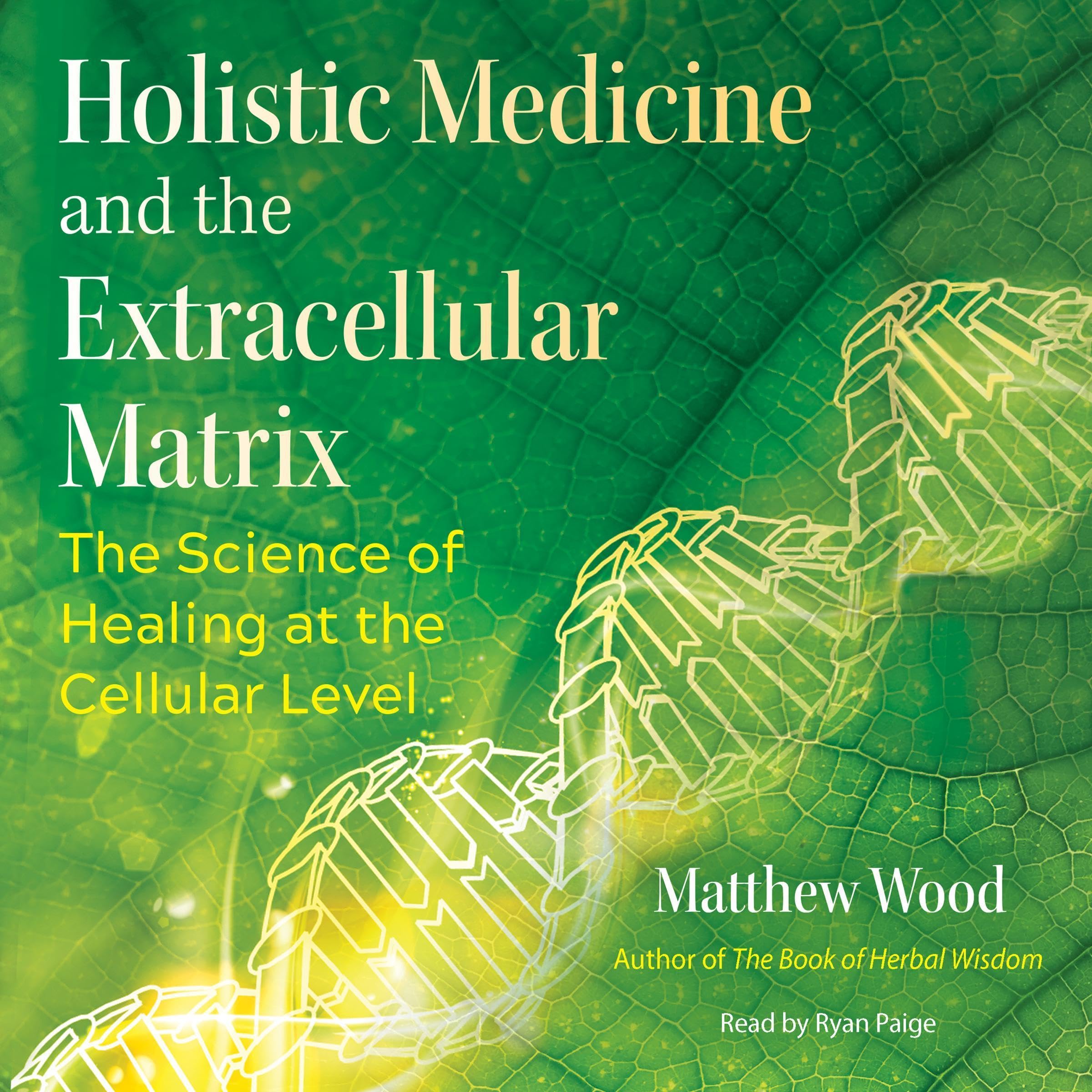Holistic Medicine and the Extracellular Matrix: The Science of Healing at the Cellular Level