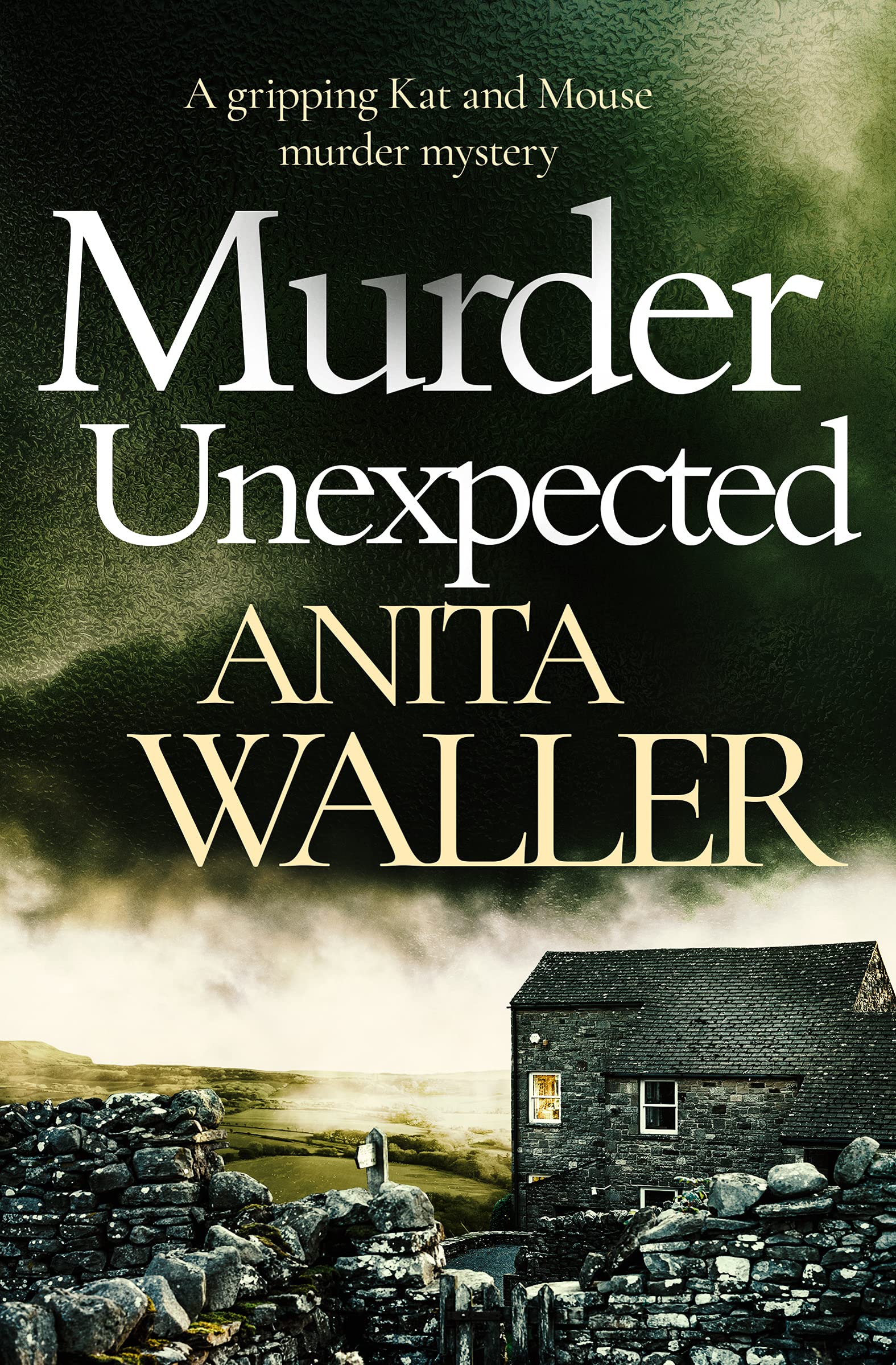 Murder Unexpected: a gripping murder mystery: 2 (Kat and Mouse)