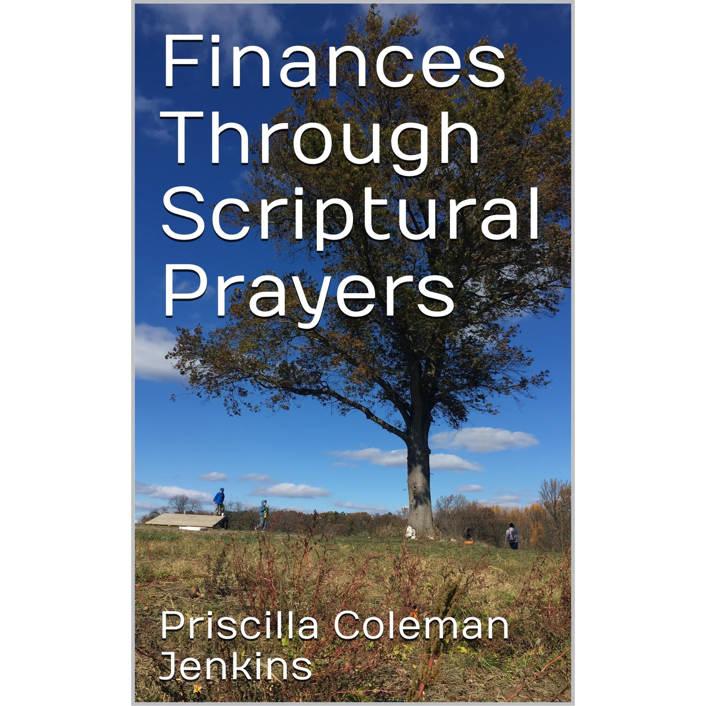 Finances Through Scriptural Prayers