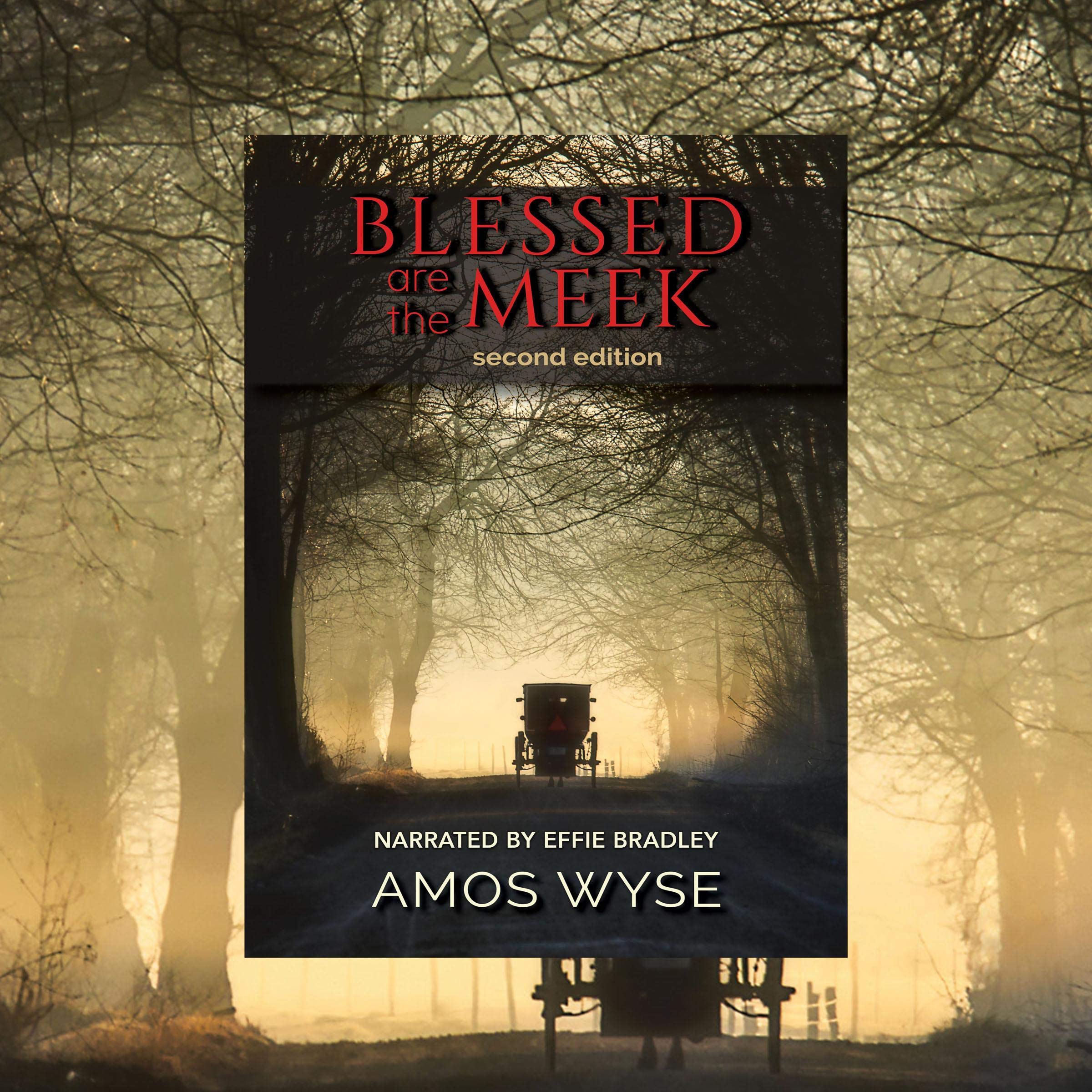 Blessed are the Meek