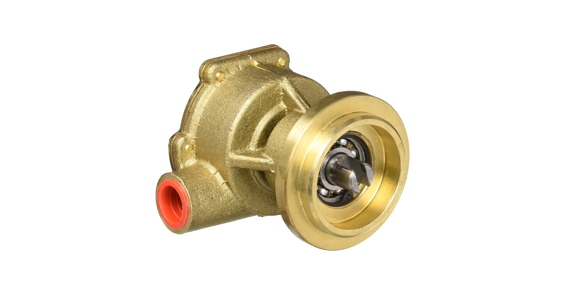 Amazon.com: Johnson Pump 10-35098-4 F4B-9 Impeller Pump
