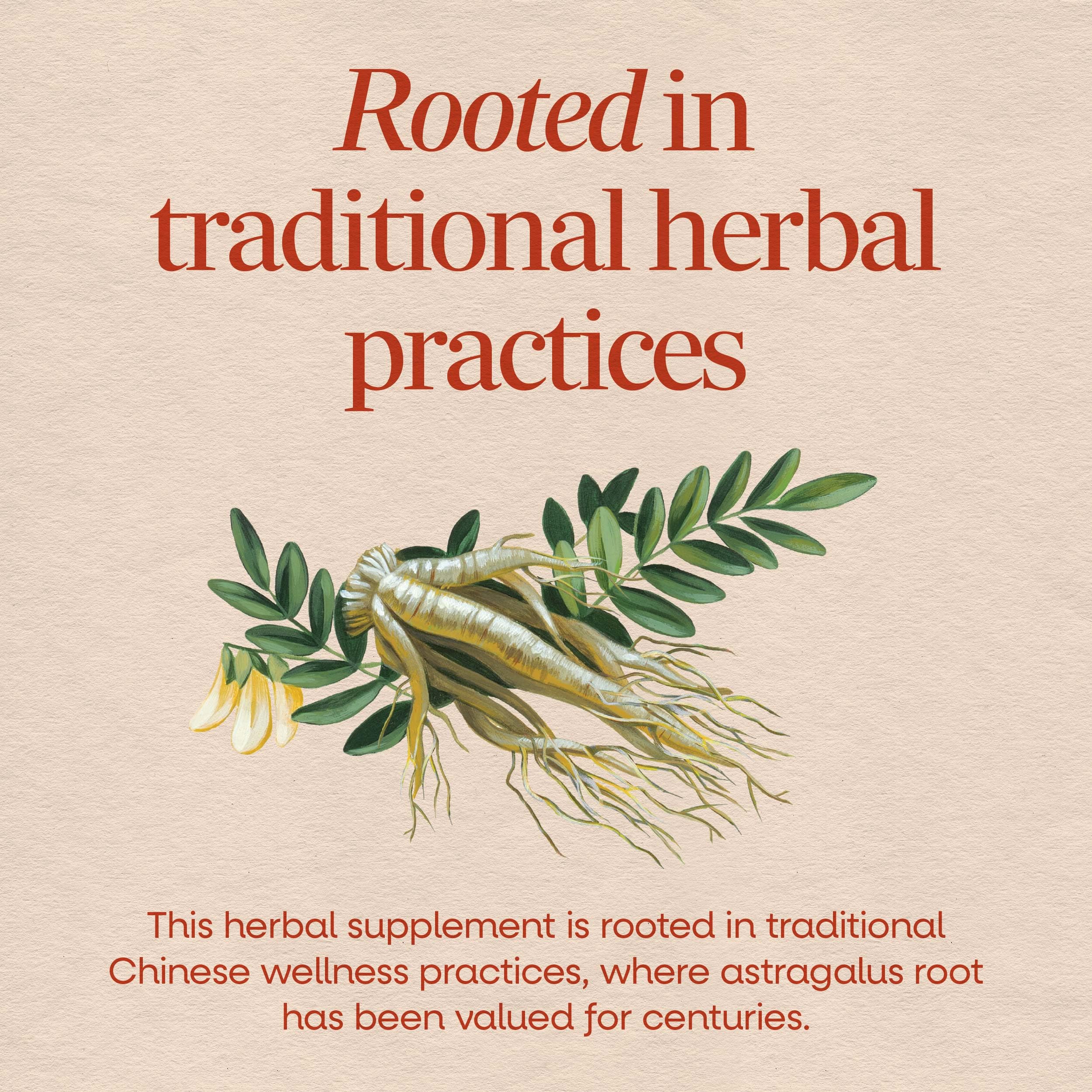 Nature's Way Astragalus Root, Traditional Immune Support*, Non-GMO Project Verified, Vegan, 180 Capsules — Amazon image 3