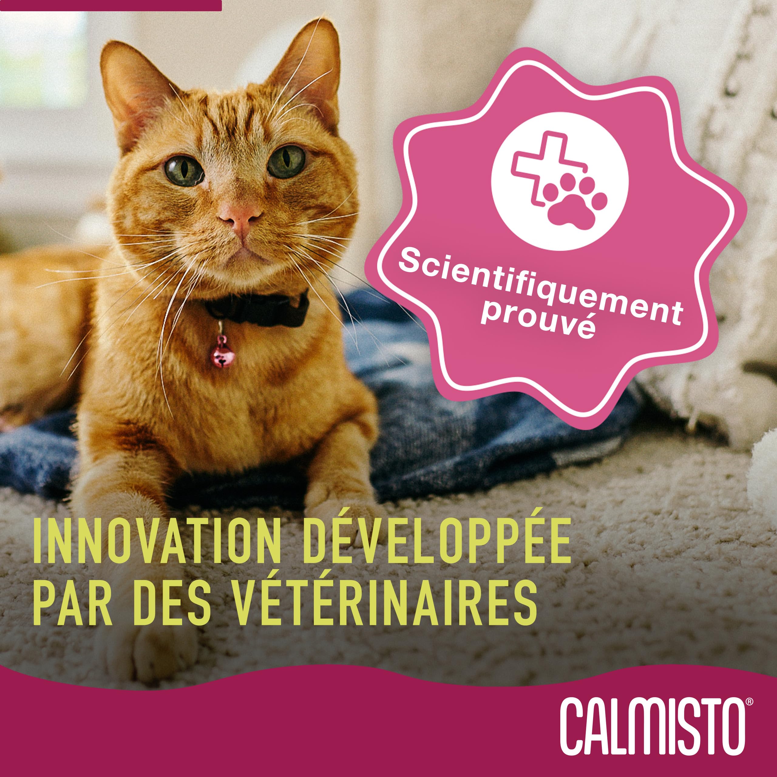 Spray Calmisto à l'intéromone de Bien-être pour Chat 75 ML — Spray Anti-Stress pour Chat à Base d'intéromone et de Lavande — Produit Anti Stress Chaton Efficace Pendant 4 Heures
