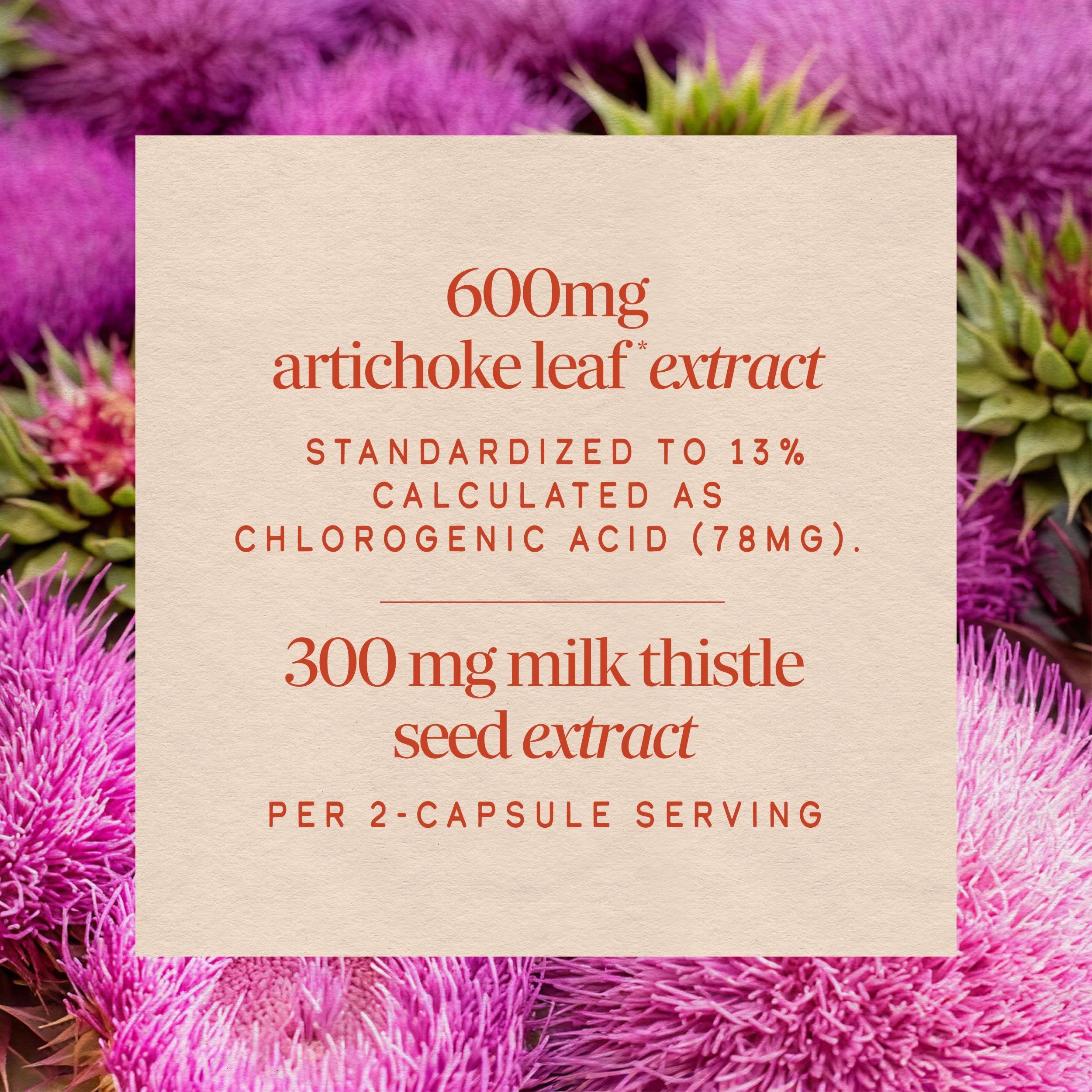 Nature's Way Artichoke, Digestion Support*, Standardized Extract, 60 ct — Amazon image 4