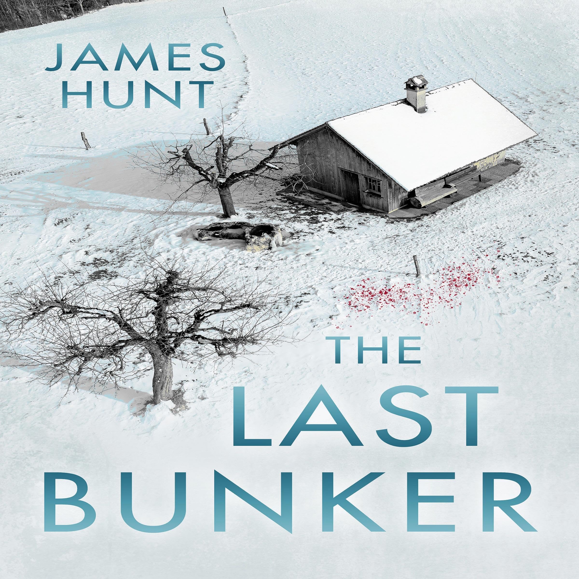 Cover art for The Last Bunker