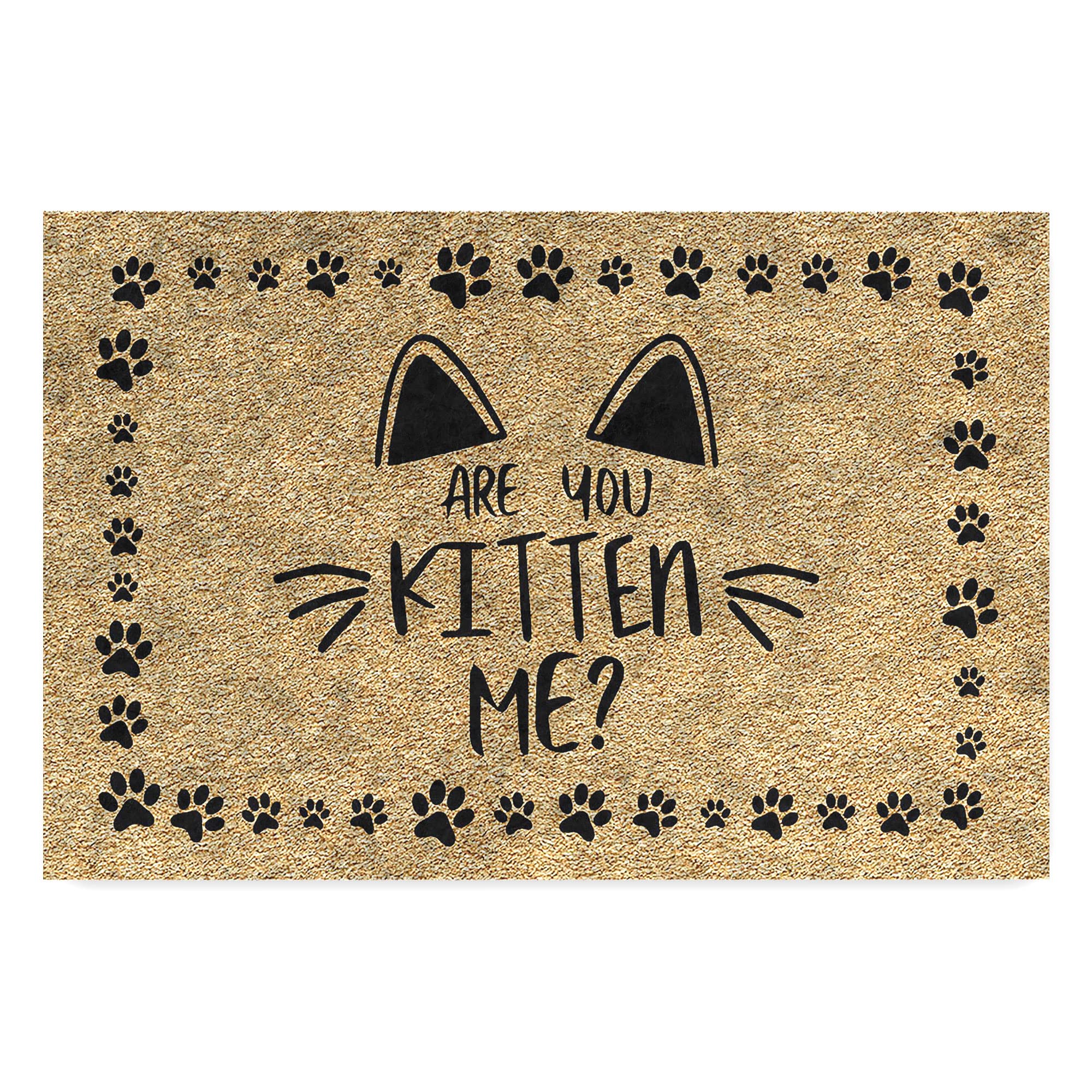 Monnhein Tasarımlı Dekoratif Kapı önü Paspas, Dış Mekan/Ev İçi/Banyo/Mutfak/Yatak Odası/Giriş Paspasları (Kitten Me, 45X70)