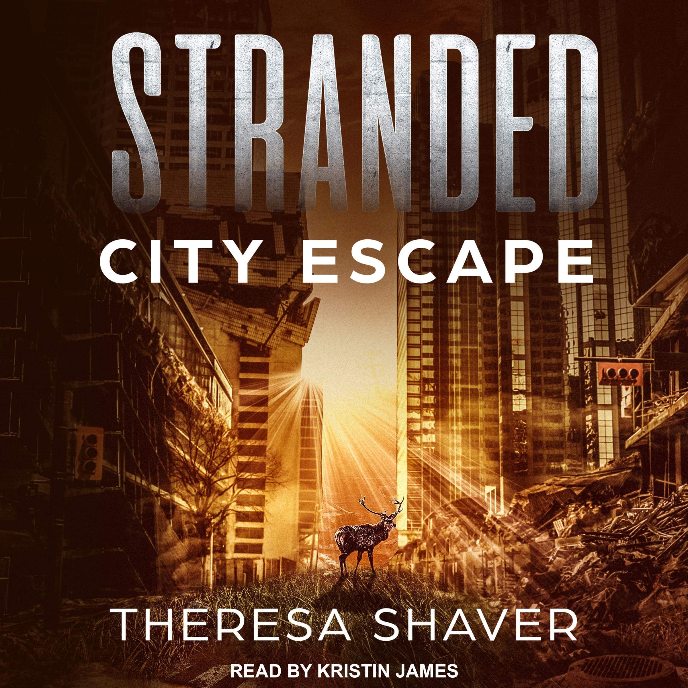 Cover art for Stranded: Stranded Series, Book 4