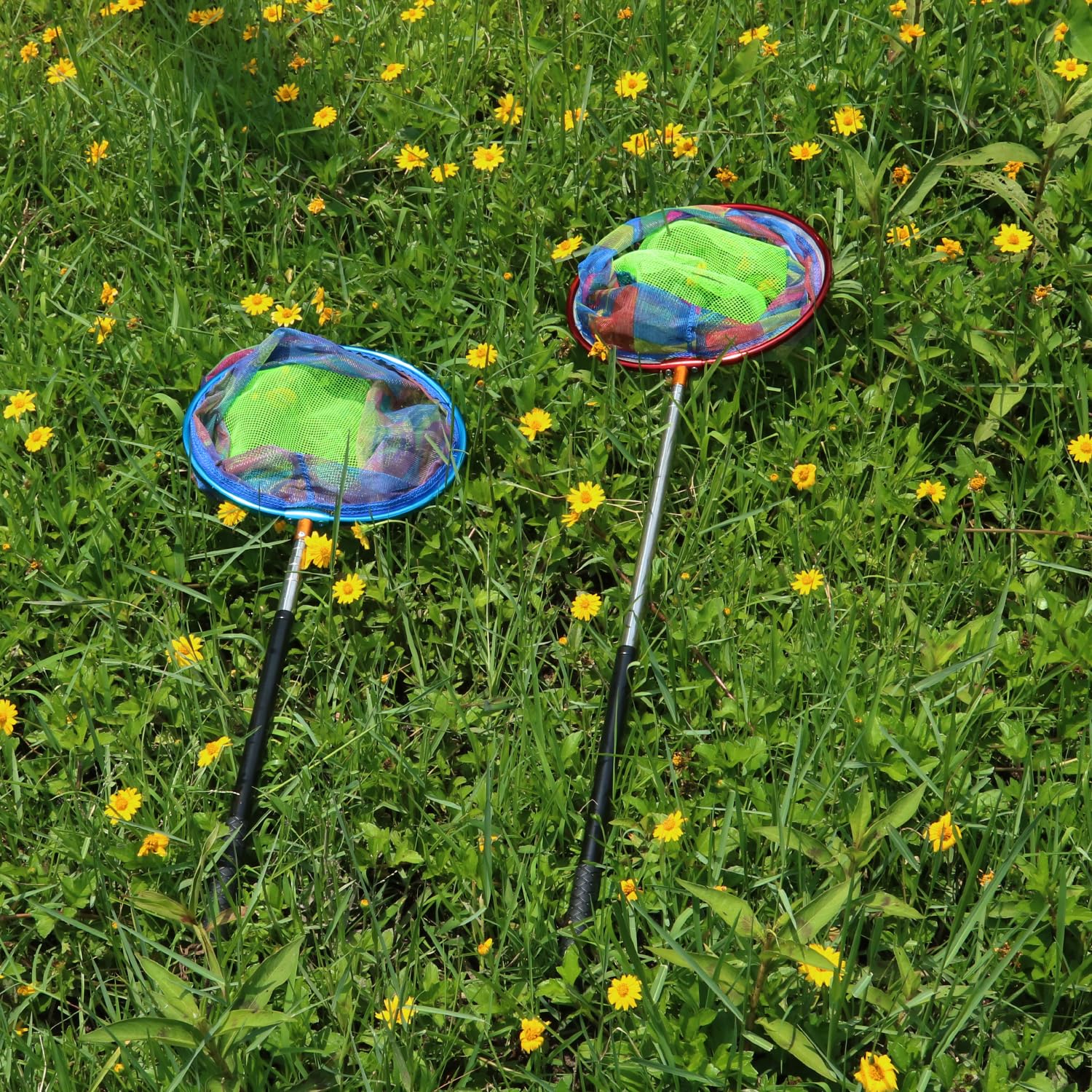 Redes de pesca con cubo, red de aterrizaje retráctil, poste de aluminio ligero con mango antideslizante para atrapar y liberar ranas, mariposas, jóvenes, al aire libre