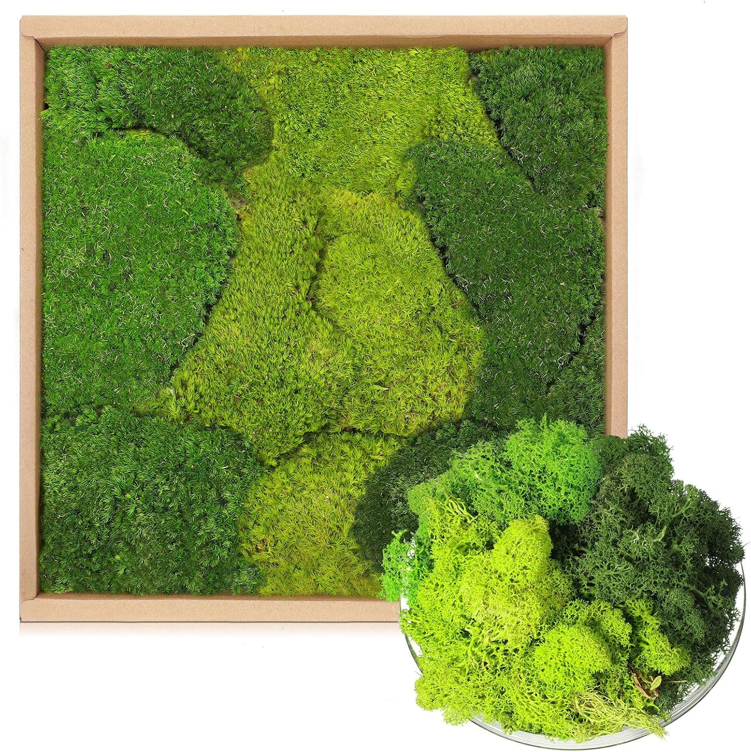 3 Sq. ft Preserved Green Moss and 9 oz Artificial