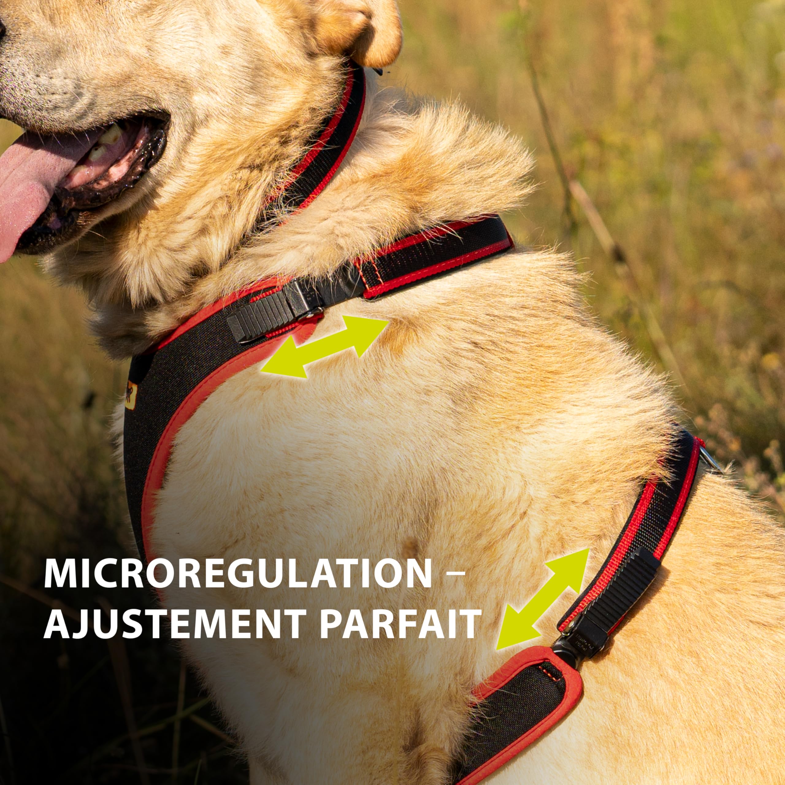 Ferplast Harnais pour Petit Chien ERGOCOMFORT, réglable, Confortable et rembourré, avec système d'attache et de détachement Rapide, Taille XS, Poids Max. 15 kg, Rouge.