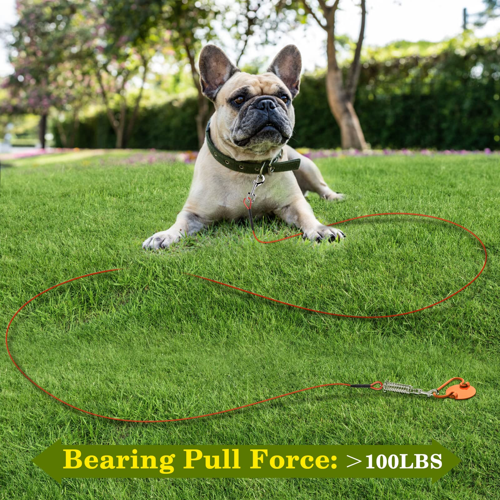 VavoPaw Picchetto a Spirale con Guinzaglio da 10m, Paletti per Catene per Cani in Acciaio Inossidabile Kit Guinzaglio per Cani fino a 45KG Ancoraggio a Terra per Esterno, Cortile, Campeggio, Rosso
