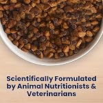Blue Buffalo Life Protection Formula Chicken & Brown Rice Senior Dry Dog Food, Supports Immunity with Antioxidant-Rich LifeSource Bits, Promotes Healthy Muscle Development, Skin & Coat, 11.7kg/26lbs