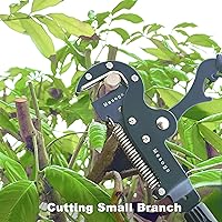 Vista 4 de Cortadora de árboles telescópica de 5 a 13 pies, sierra de poste y podadora para recortar, sierra de podar extensible, cortadora de ramas de mango