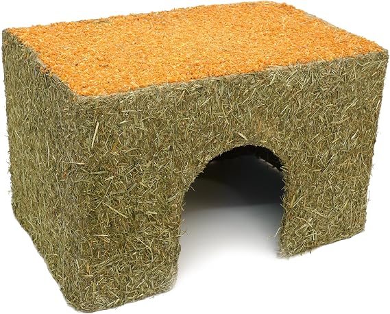 Rosewood Naturals Carrot Cottage Rabbit House, Large & Naturals Carrot and Fennel Sticks Treat 120 g
