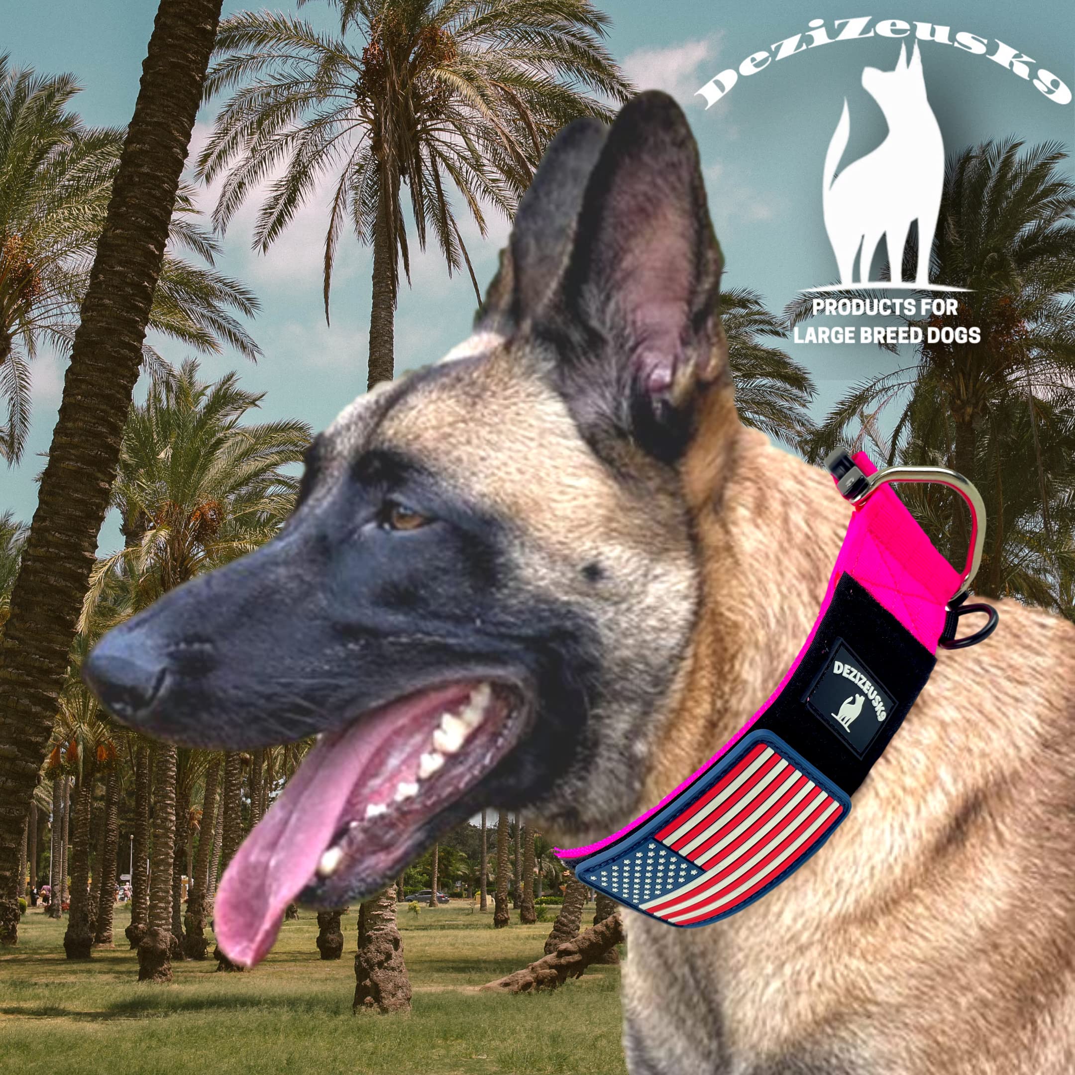 Collar táctico para perro de 5 cm de ancho, grueso, estilo militar resistente con hebilla de metal, ajustable para razas medianas y grandes, equipo de entrenamiento K9 duradero con área de parche