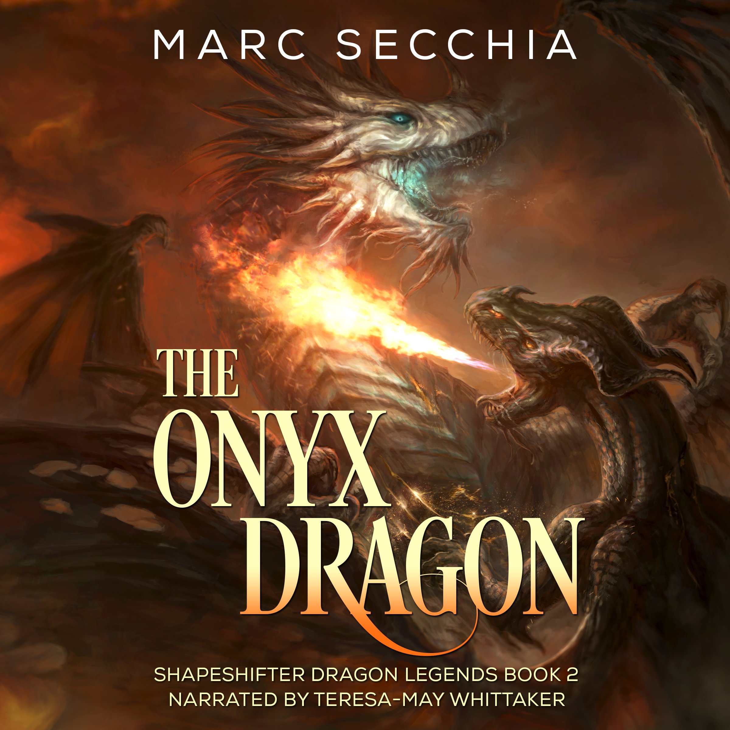 Cover art for The Onyx Dragon