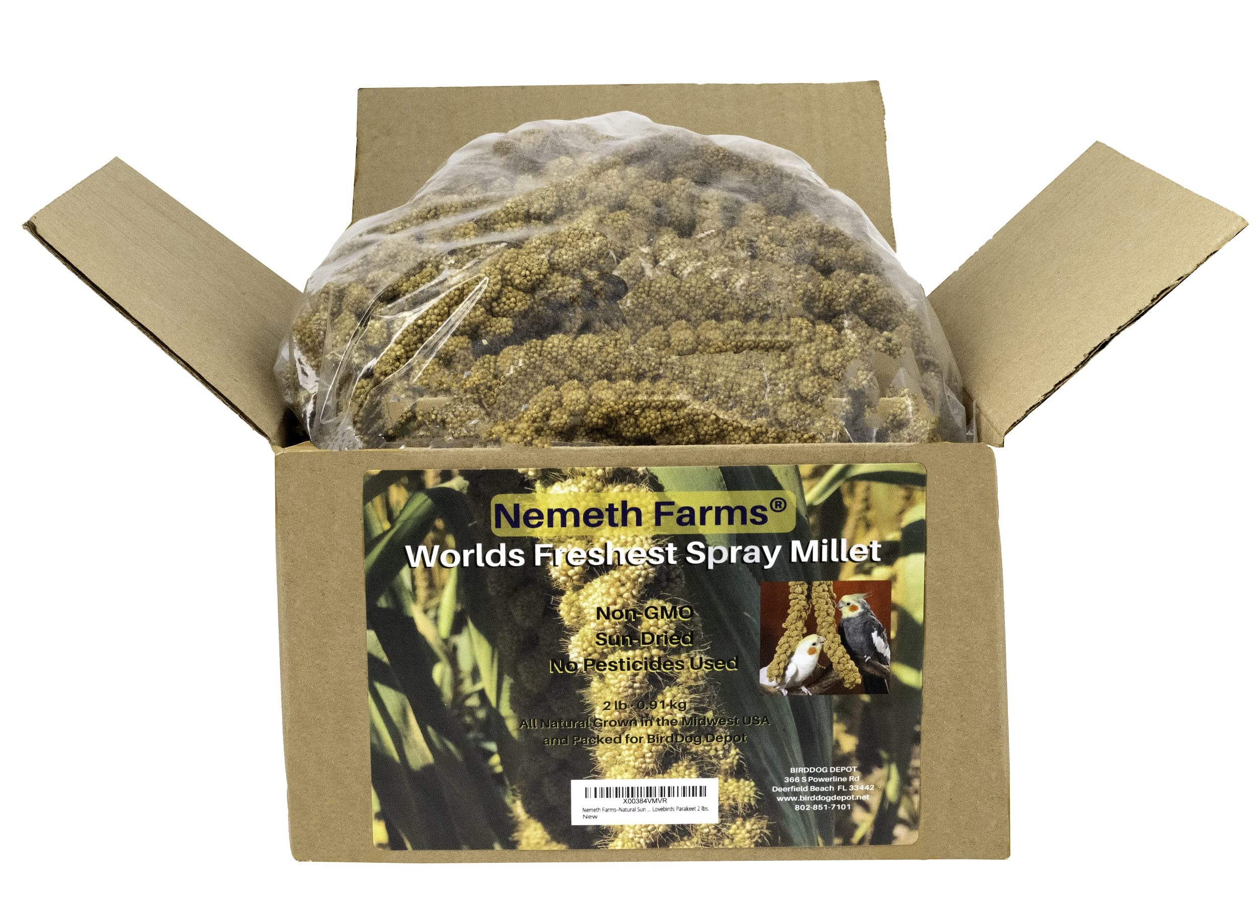 Spray Millet Bulk atelieryuwa.ciao.jp