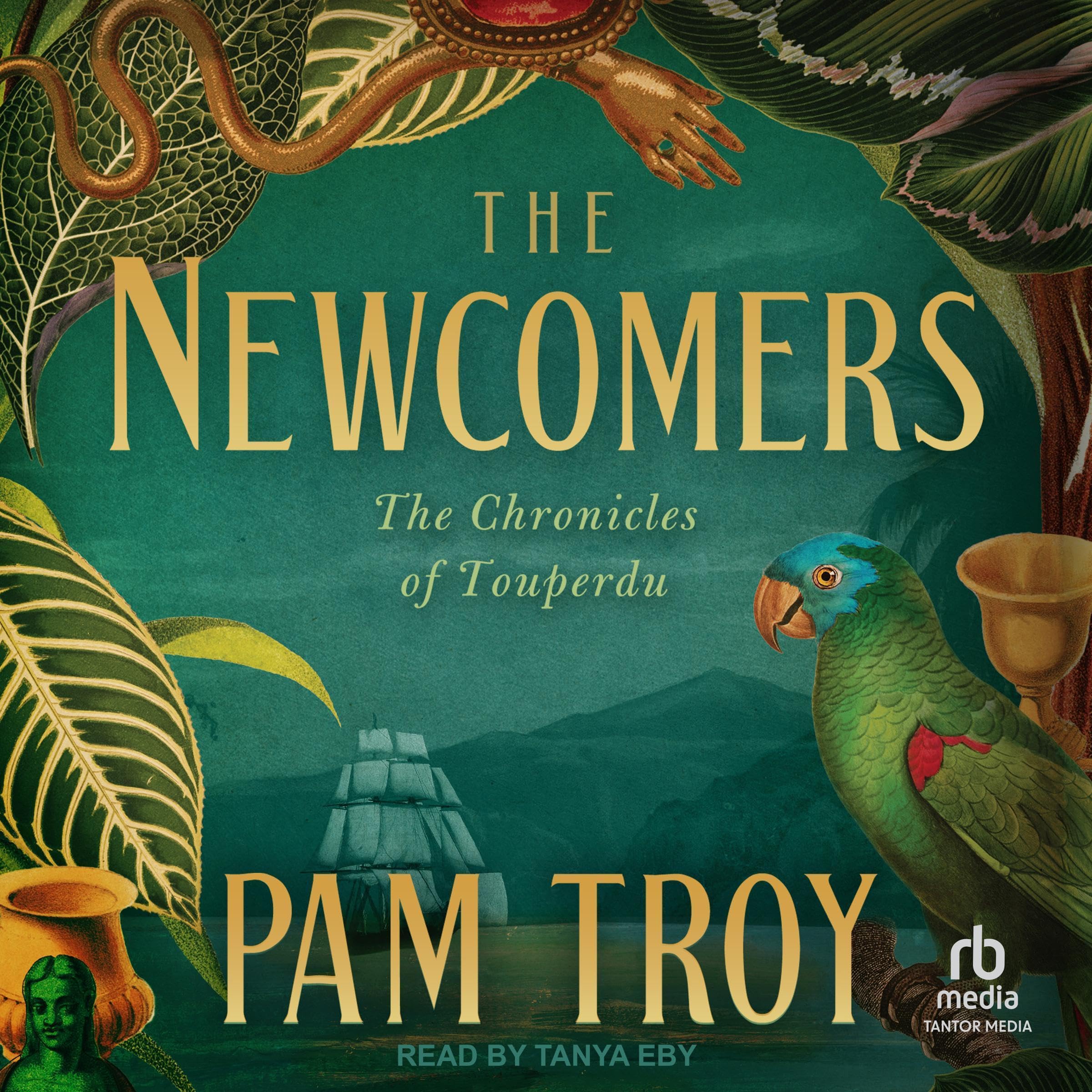 Cover art for The Newcomers