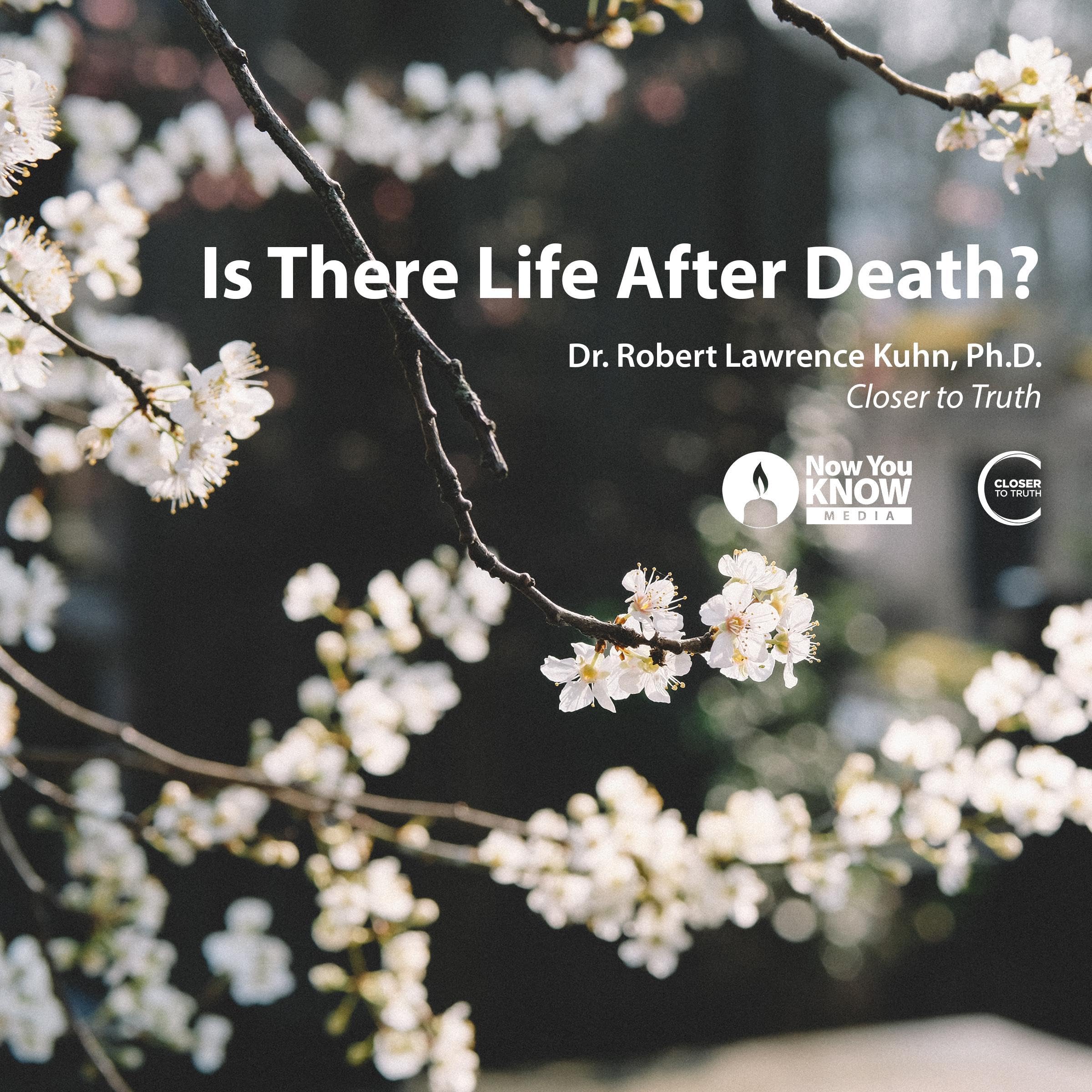 Is There Life After Death?