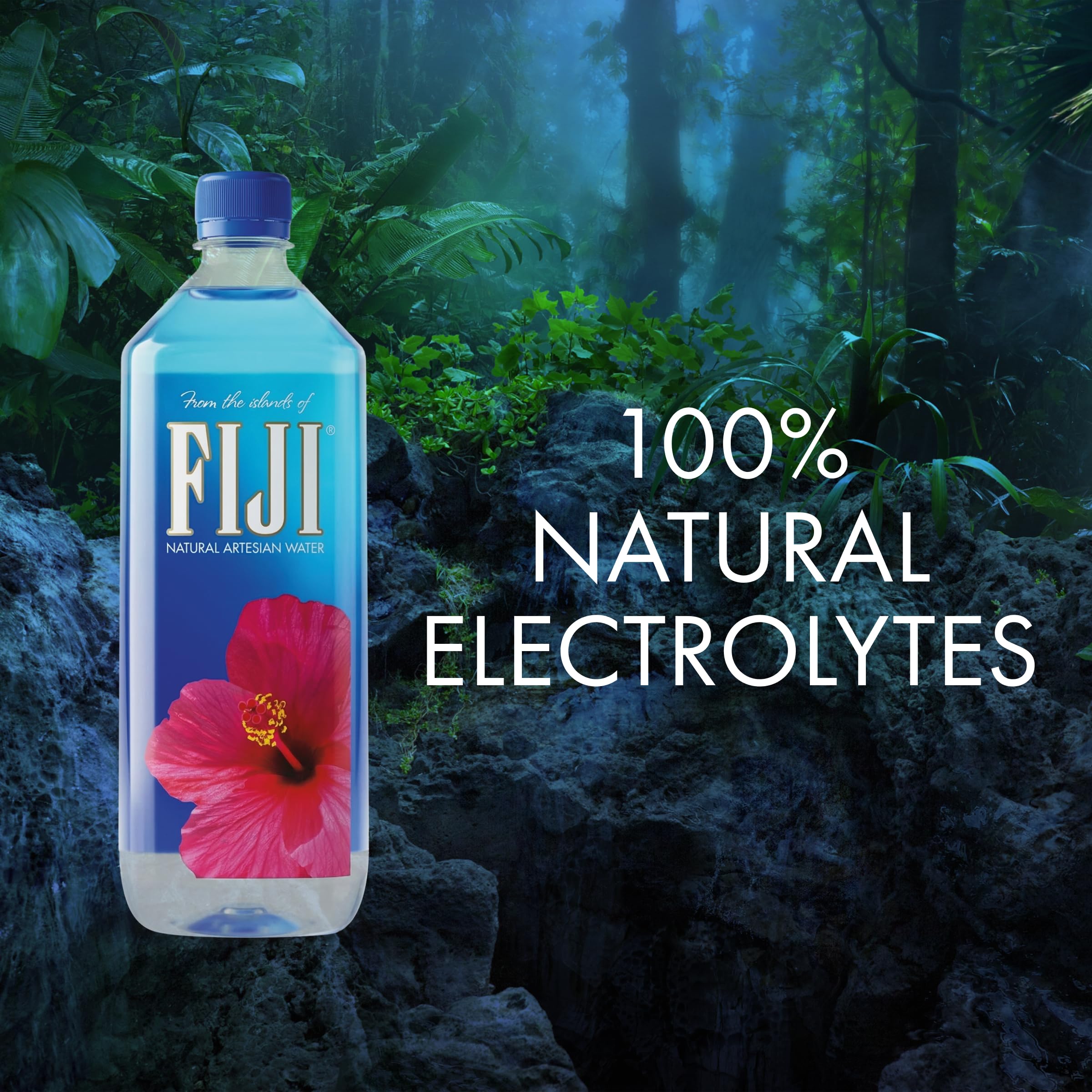 FIJI Natural Artesian Water, 33-Ounce Bottles (Pack of 12)