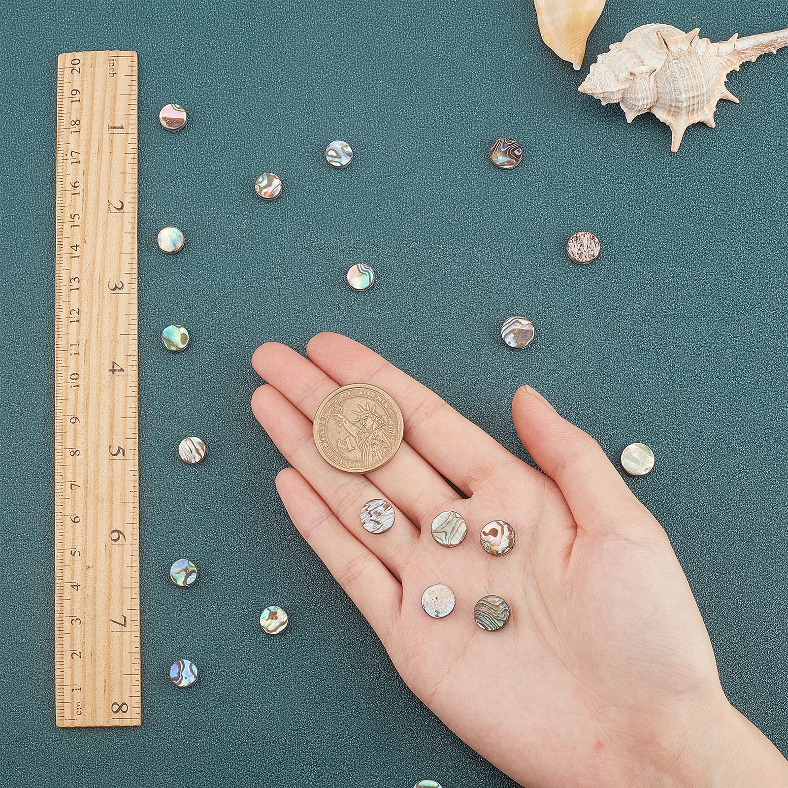 SUNNYCLUE 1 Box 20Pcs Natural Abalone Shell Flat Round Shape Beads Paua Shell Colorful Loose Spacer Coin Charms Hole Drilled for Jewelry Making Bracelets Necklaces Supplies - Image 3