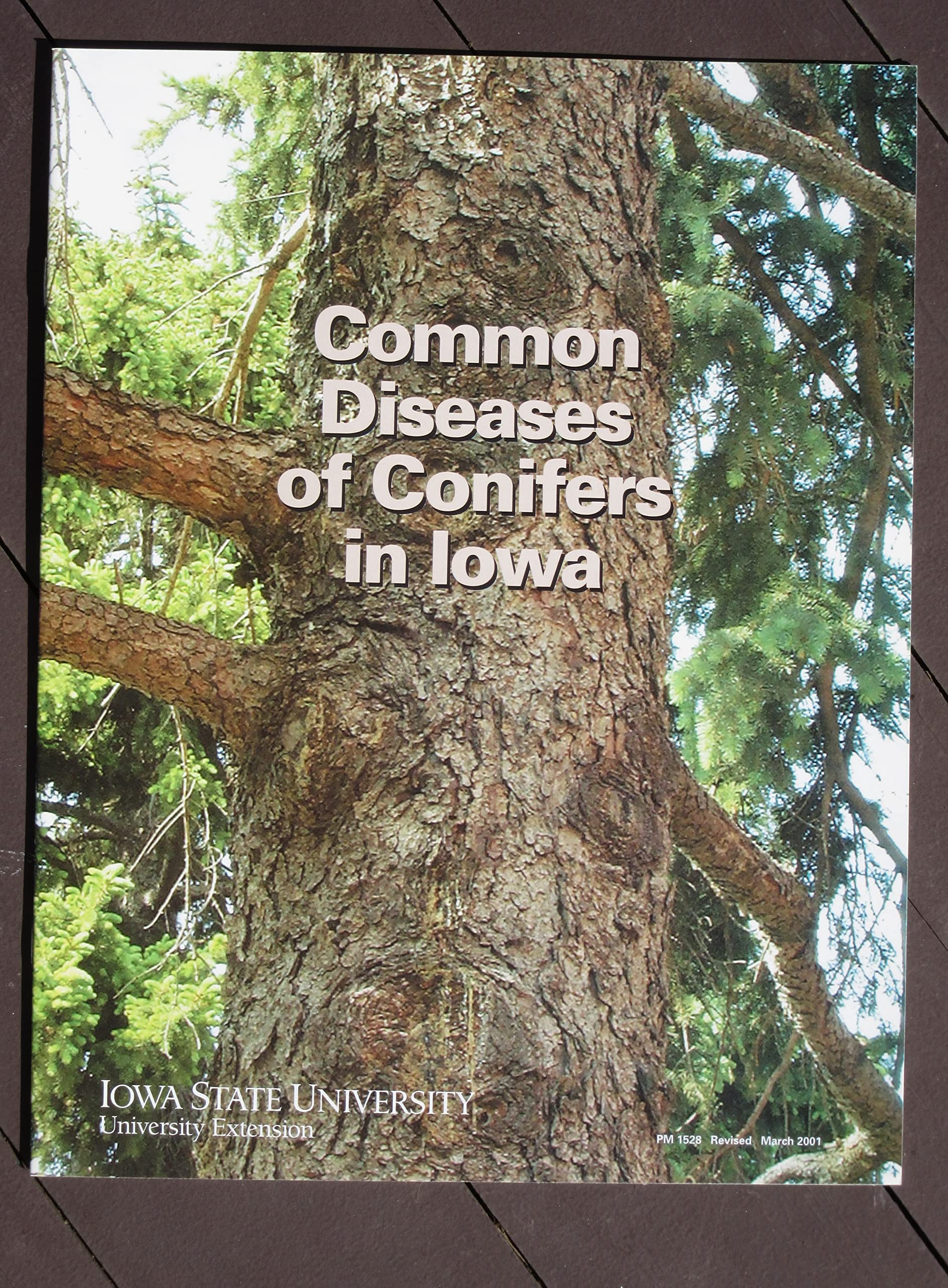 Common diseases of conifers in Iowa (PM 1528)