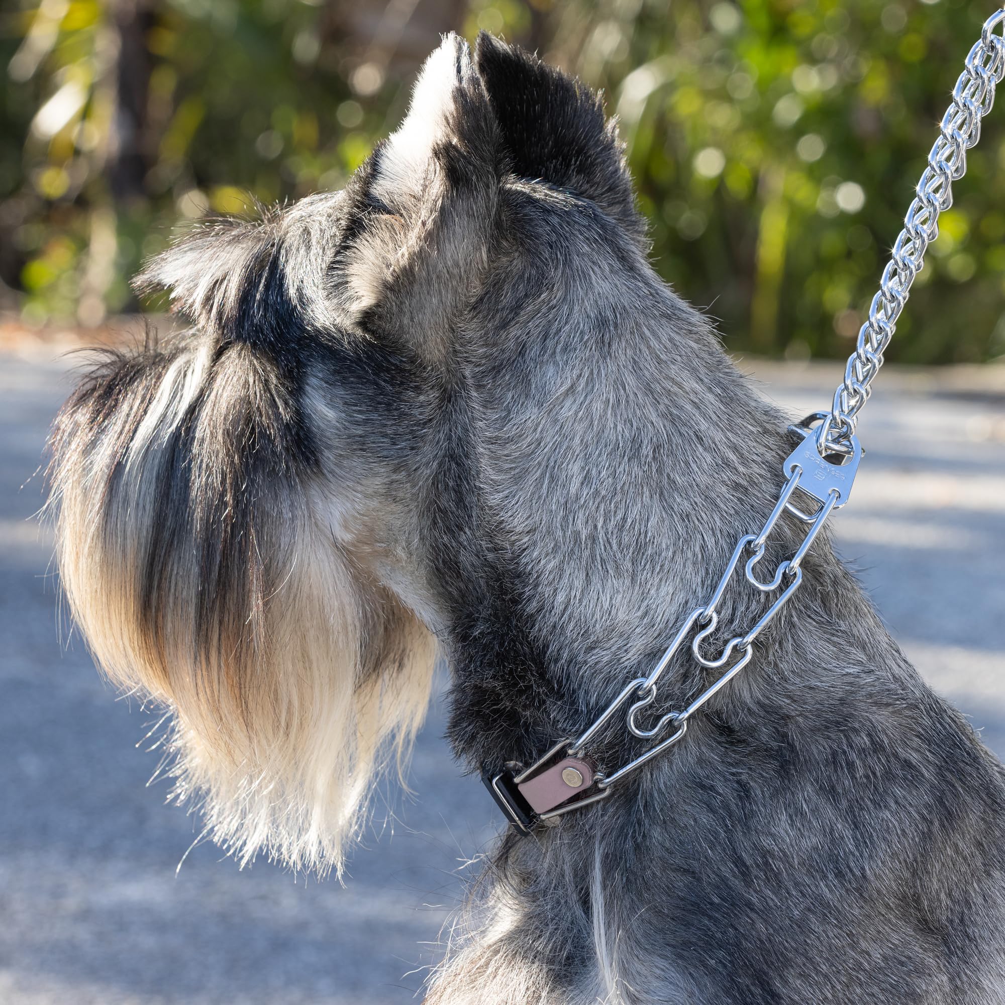Herm Sprenger Collier de dressage pour chien en acier chromé avec boucle ClicLock à dégagement rapide et insert en biothane, fabriqué en Allemagne (violet pastel, 58,4 x 3,2 mm (pour un tour de cou
