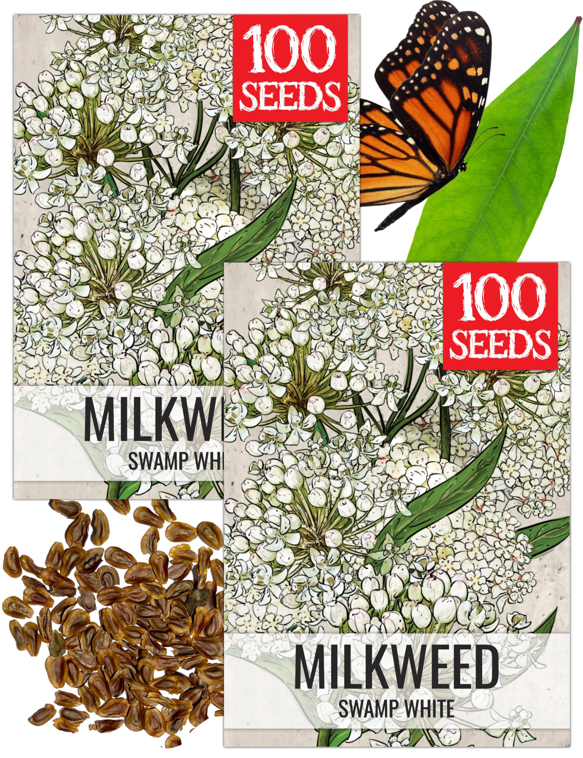 Seed Needs White Swamp Milkweed Seeds for Monarch Butterflies 2 Packs