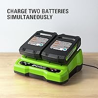 Vista 5 de Cargador de batería Greenworks de 24V con doble puerto (cargador genuino Greenworks)