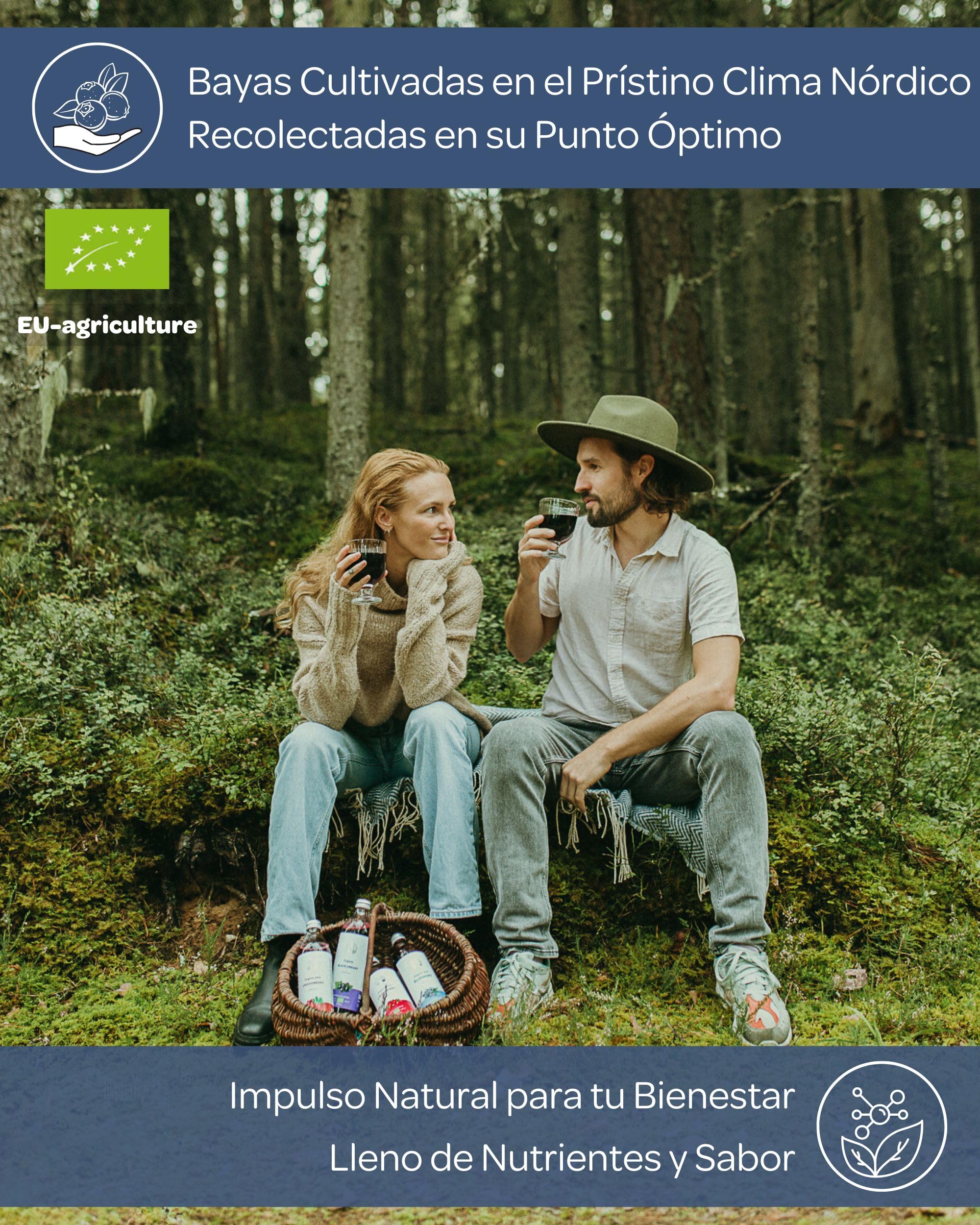 LOOV Zumo de arándanos silvestres ecológicos 100% puro prensado en frío 6 x 500 ml