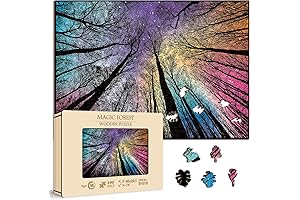 Hard Impossible Wooden Puzzles Adult 340Pcs
