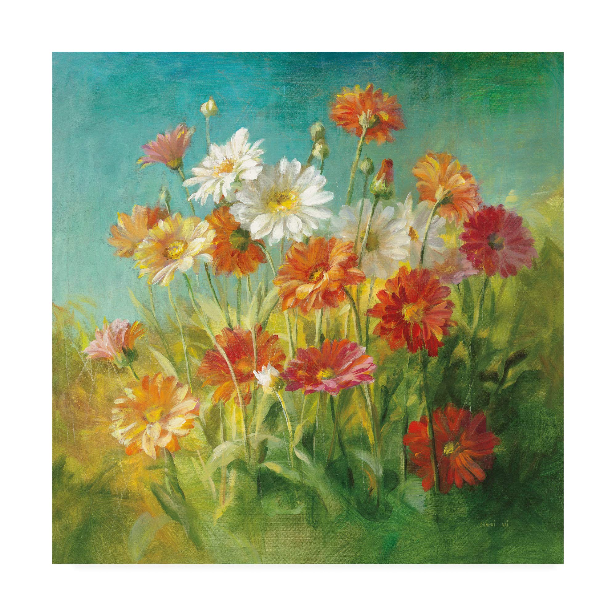 Trademark Fine Art Painted Daisies by Danhui NAI, 18x18
