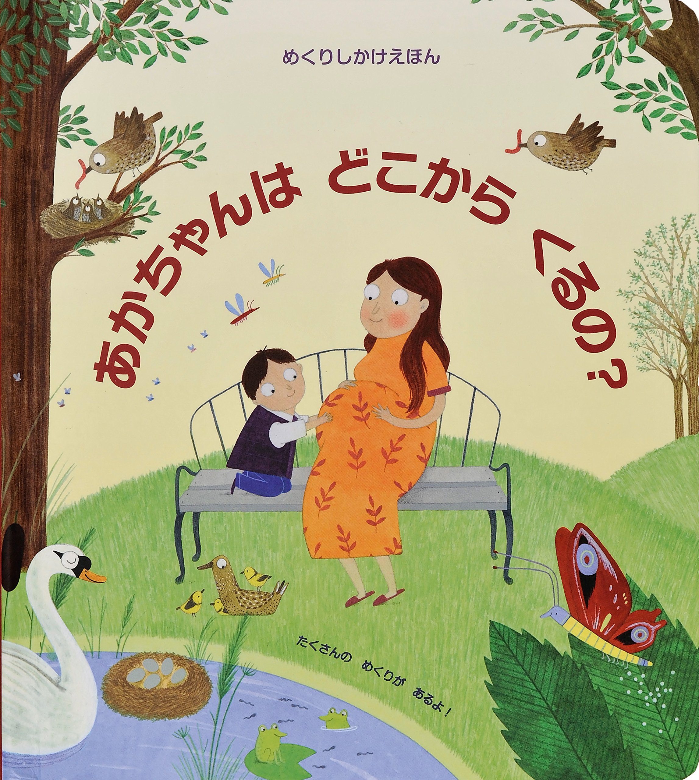 あかちゃんはどこからくるの? (めくりしかけえほん) | ケイティ