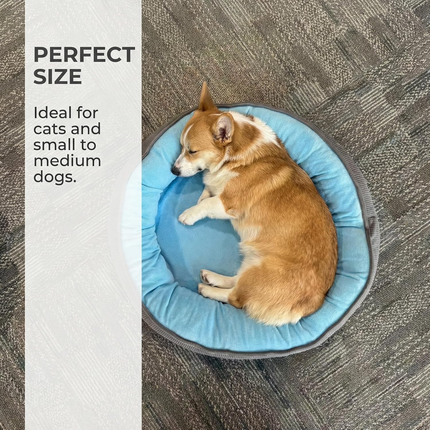 Calming Dog Bed for Small Dogs 16"x20" - Washable Donut Pet Bed with Anti-Slip Bottom, Soft Puppy Bed for Indoor Kittens and Cats with Removable Cover (Sky Blue)