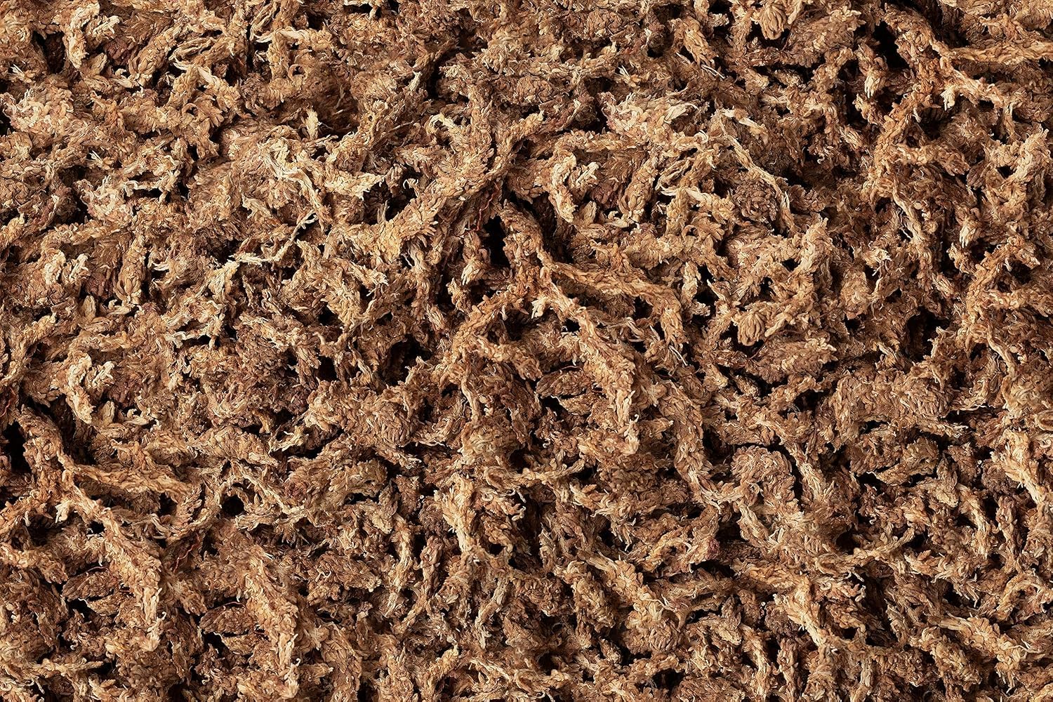 R&R SHOP – 100% naturalny chilijski torfowiec, podłoże do storczyków, bonsai, kokedama i pionowej zieleni (4L - 100gr)