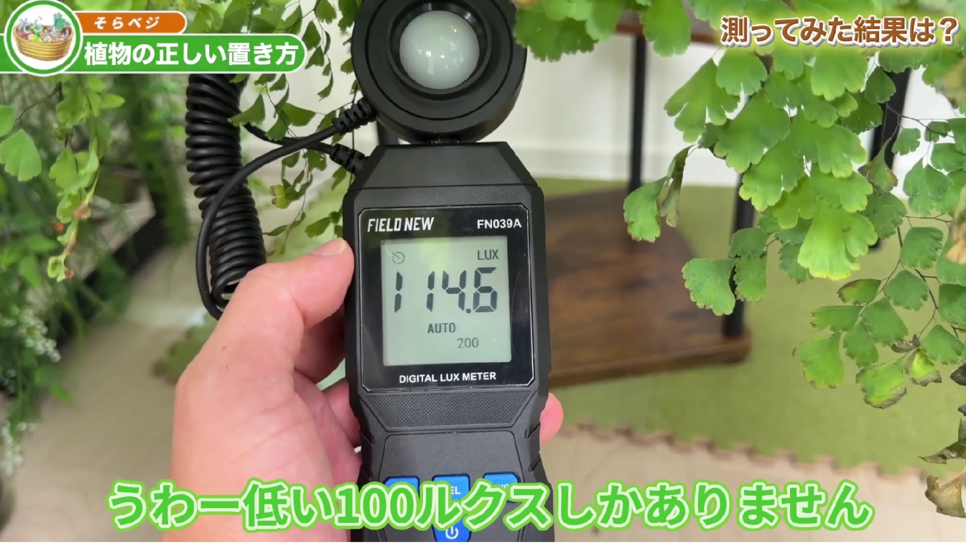 【総フォロアー50万人 そらベジ紹介】センサー分離式デジタル照度計 ルクスメータ Amazon | 【総フォロアー50万人 そらベジ紹介】センサー分離式デジタル