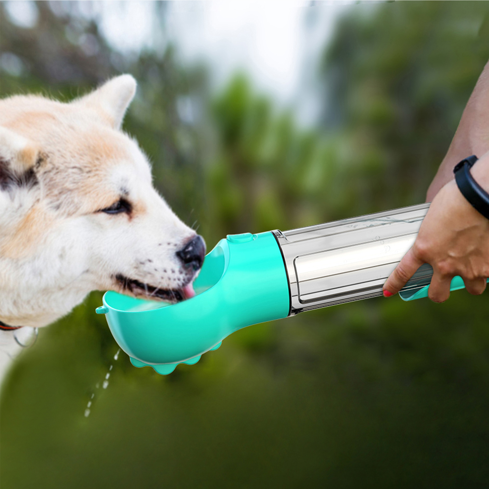 Amazon.com : HANAMYA 3 in 1 Dog Travel Bottle Set with 10 oz