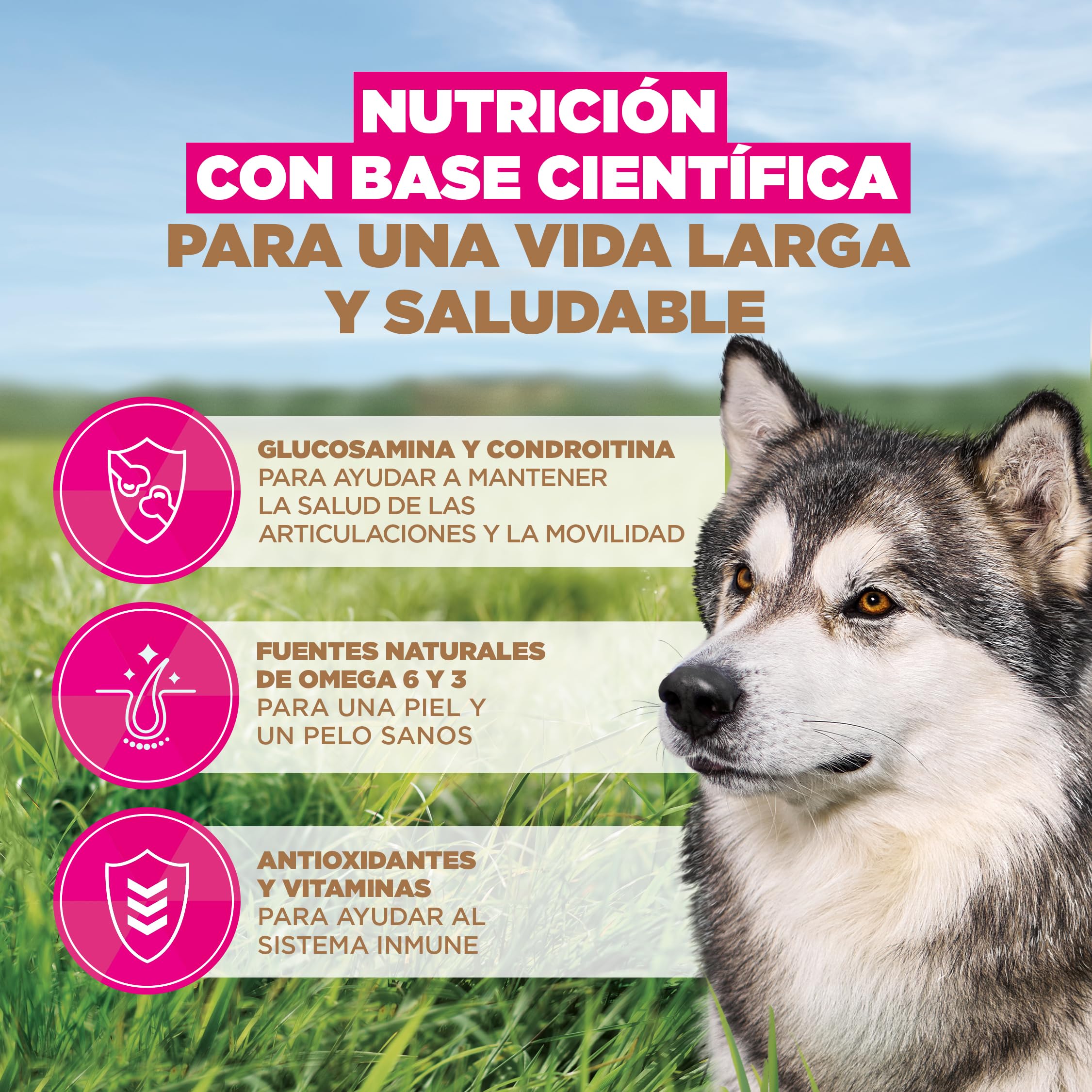 Eukanuba, alimento para Edad Avanzada sin Cereales con Pescado para Razas Grandes - Alimento seco Premium para Perros Senior, 12 kg