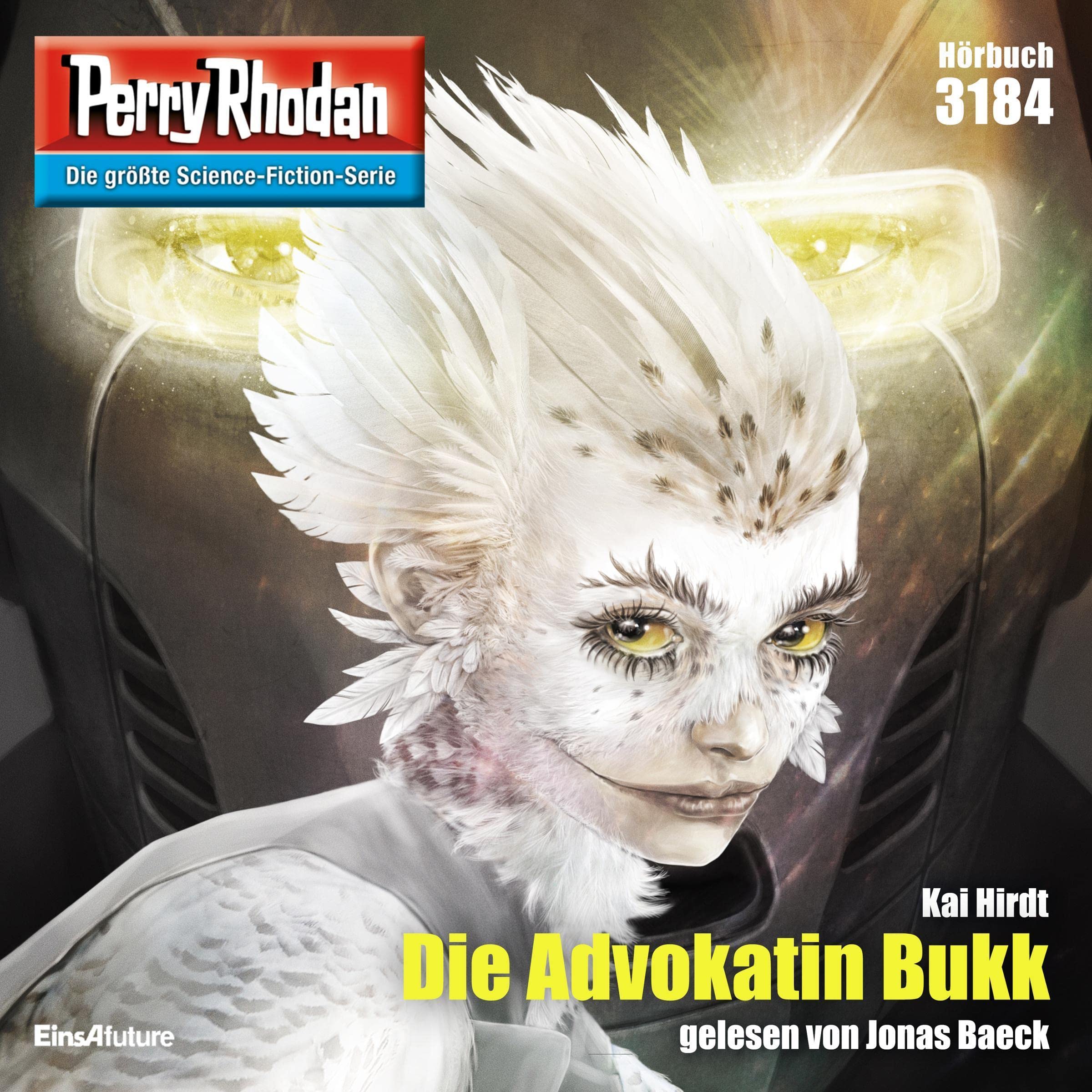 Cover art for Die Advokatin Bukk