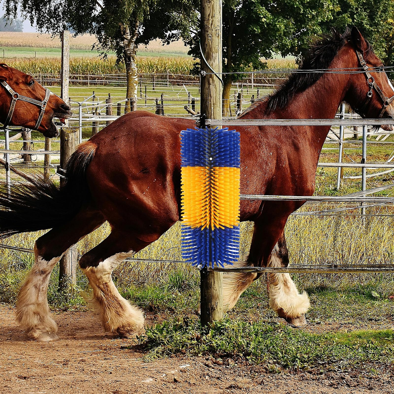 Spazzola da graffio per bestiame Spazzola per cavalli Mucca Tiragraffi Post Bestiame Graffiare Massaggio completo Spazzola per toelettatura Bestiame Strumento anti-prurito Bestiame, Cavallo, Bestiame,