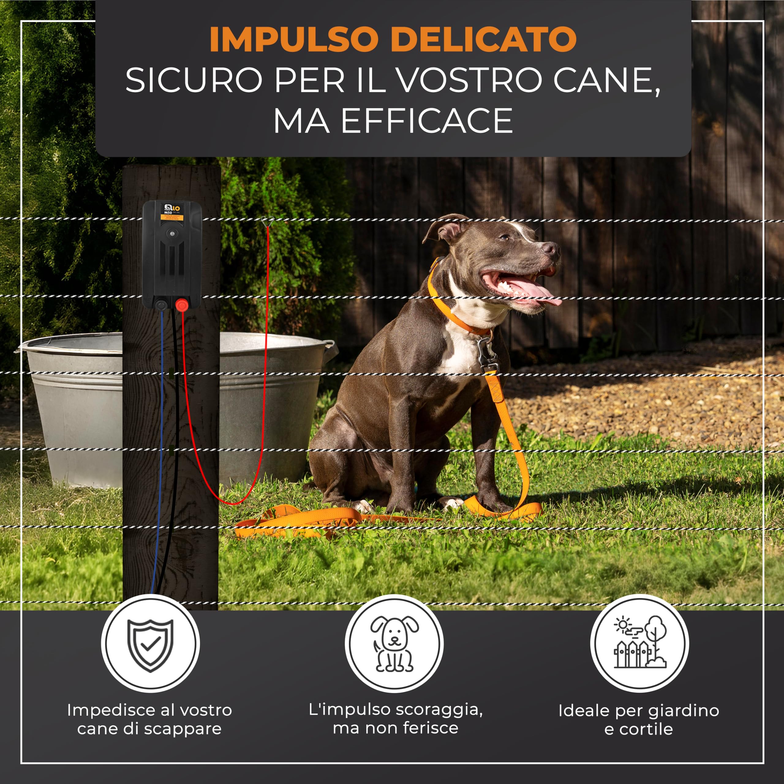 Kit completo per recinto elettrico 200m | Con filo, tester LED e pali | Con elettrificatore, 200m di filo, tester LED, pali e messa a terra | Ideale per piccoli animali