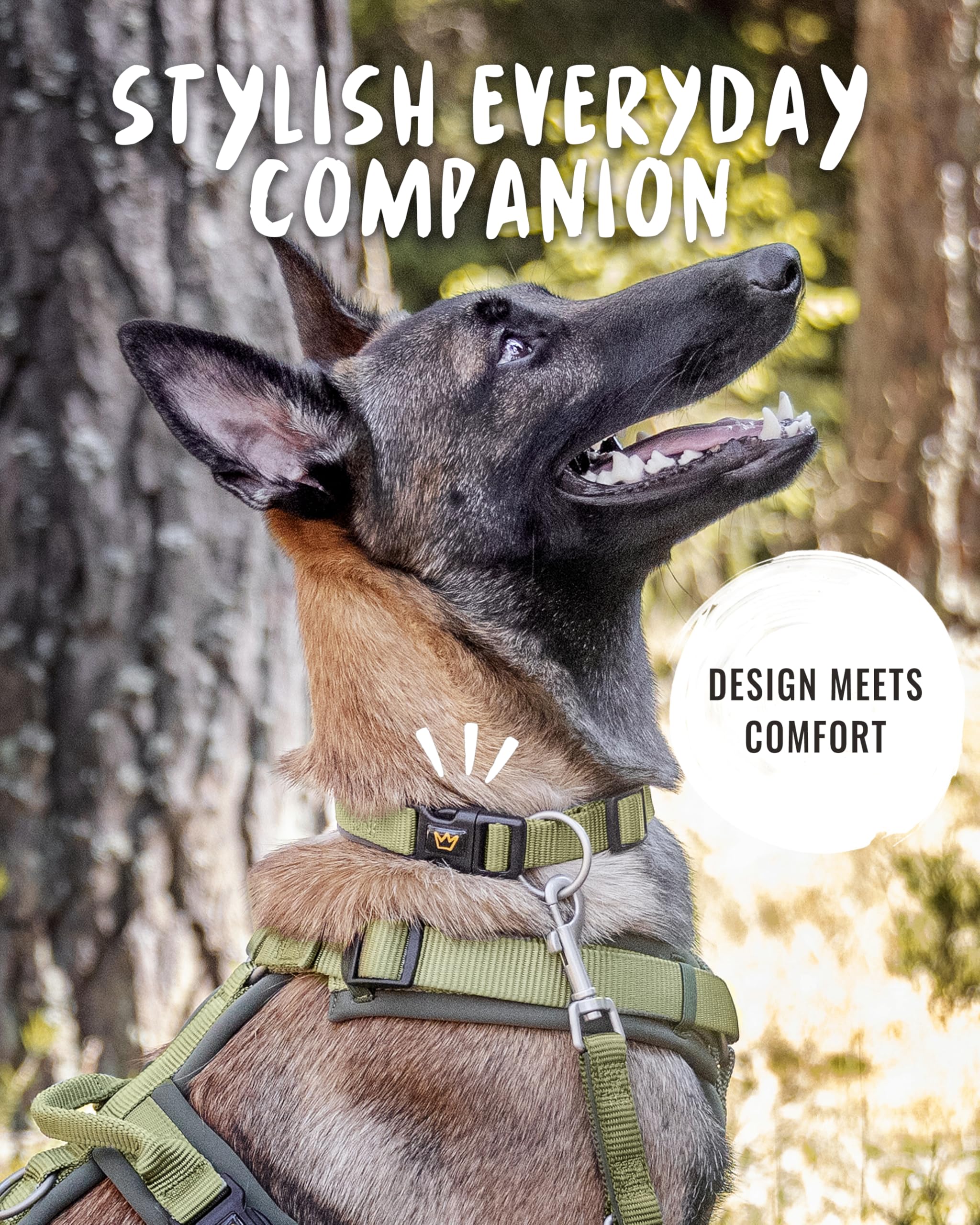 Rudelkönig Collare per cani Bella - Collare cane regolabile per cani - Collari per cani in cachi - Collare cane taglia piccola