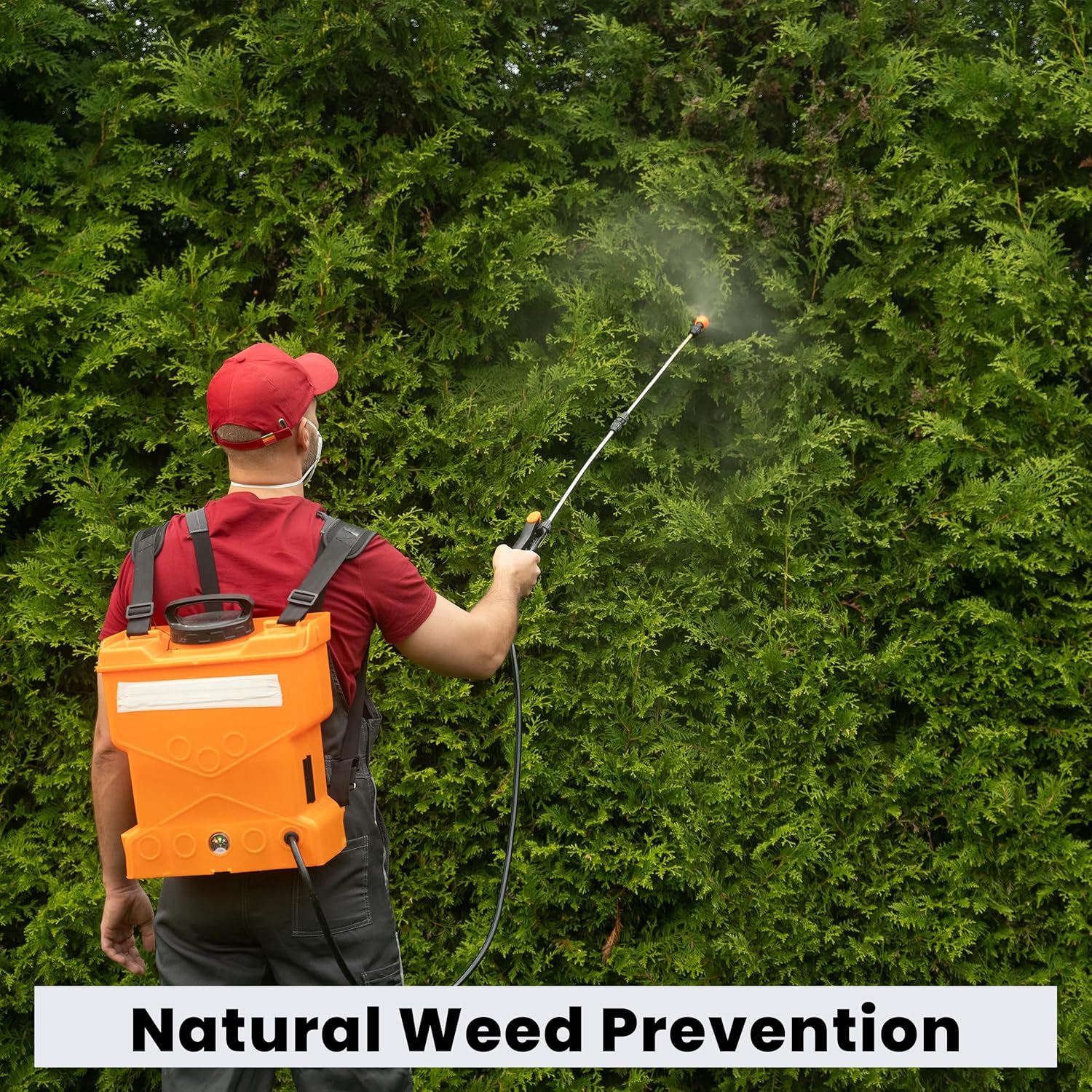 The Environmental Factor Green It Corn Gluten Weed Preventer. Ready-to-Spray Pre-Emergent Weed Control for Lawns, Gardens and Flower Beds - 64 oz