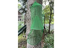 Spotted Lanternfly Mesh House Trap SLF. Simple and Effective Way to Catch...