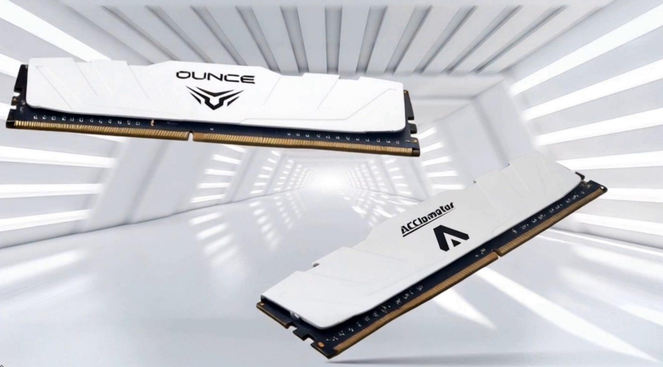 Amazon.co.jp: Acclamator DDR5 5600MHz 32GB (16GB×2枚）XMP3.0/EXPO 