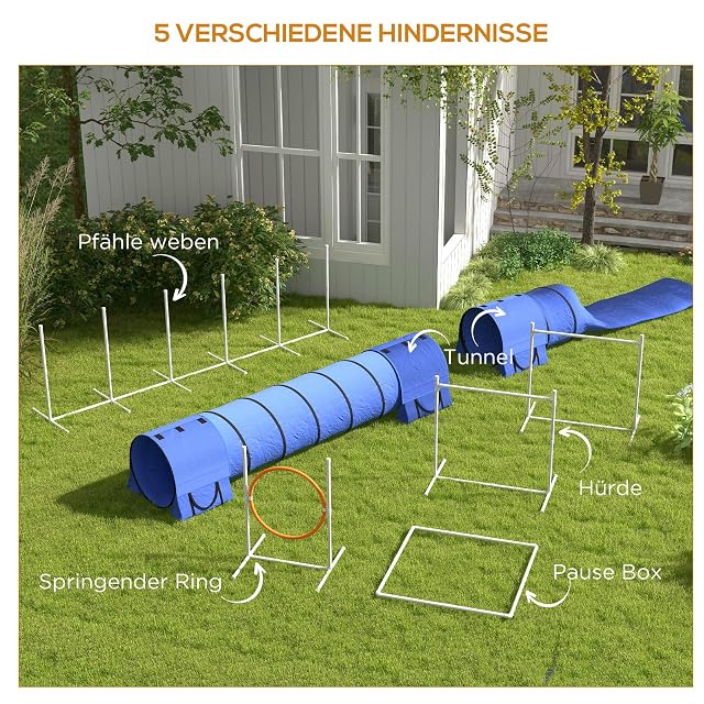 Foto 4 de 8 de PawHut Kit de Agilidad para Perros 7 Piezas, Circuito de Obstáculos, Azul