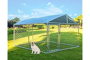 Outside Dog Pens: Providing a Safe and Spacious Outdoor Haven for Your Furry Friend