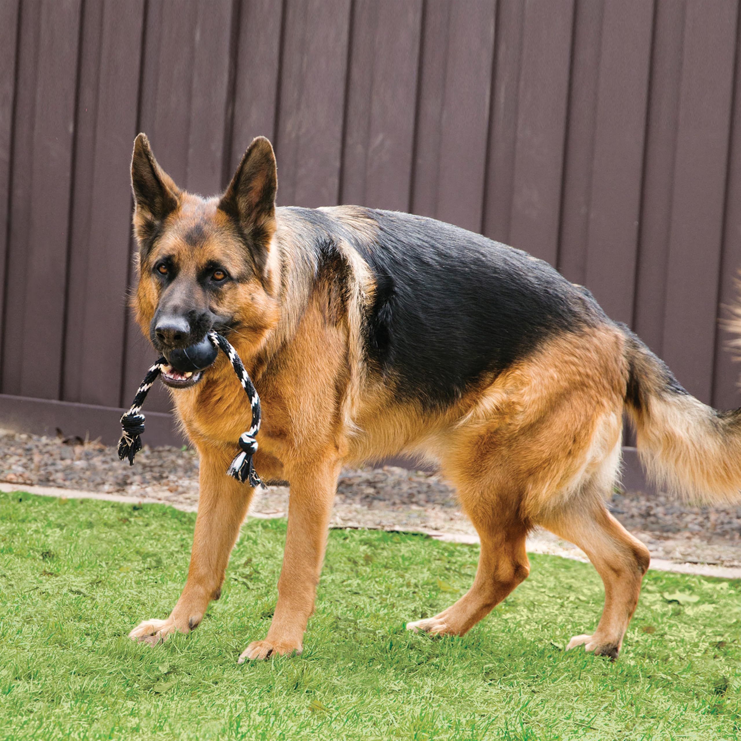 KONG Extreme Ball avec Corde - Jouet De Récupération pour Chien en Caoutchouc Naturel Durable avec Corde pour Lancer Facile - pour Grands Chiens - Noir