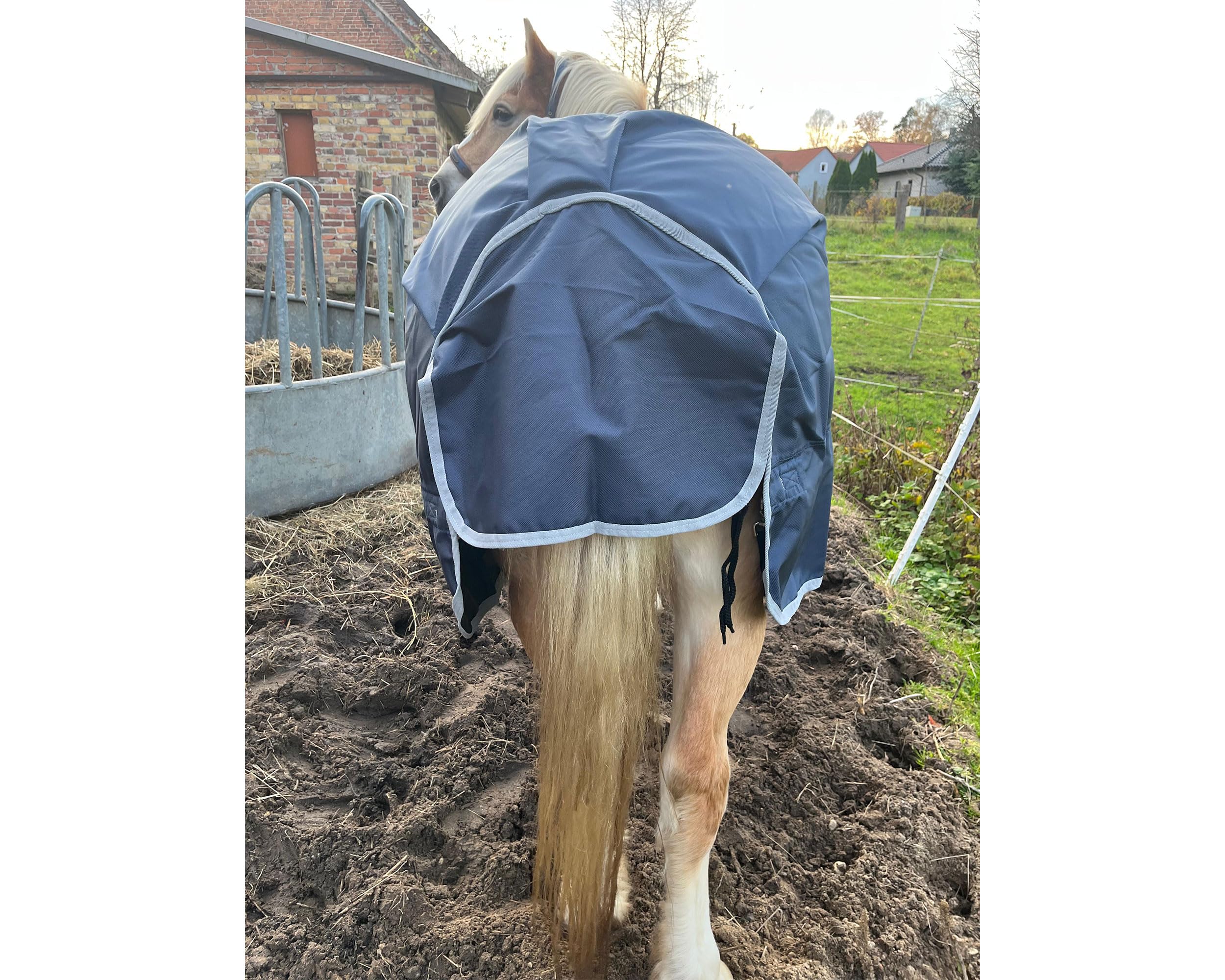 Brama-West Winterdecke Pferd Nell | Outdoordecke mit Highneck |1680D - 50g Füllung | Pferdedecke reisfest, wasserdicht und atmungsaktiv | Blau (135)